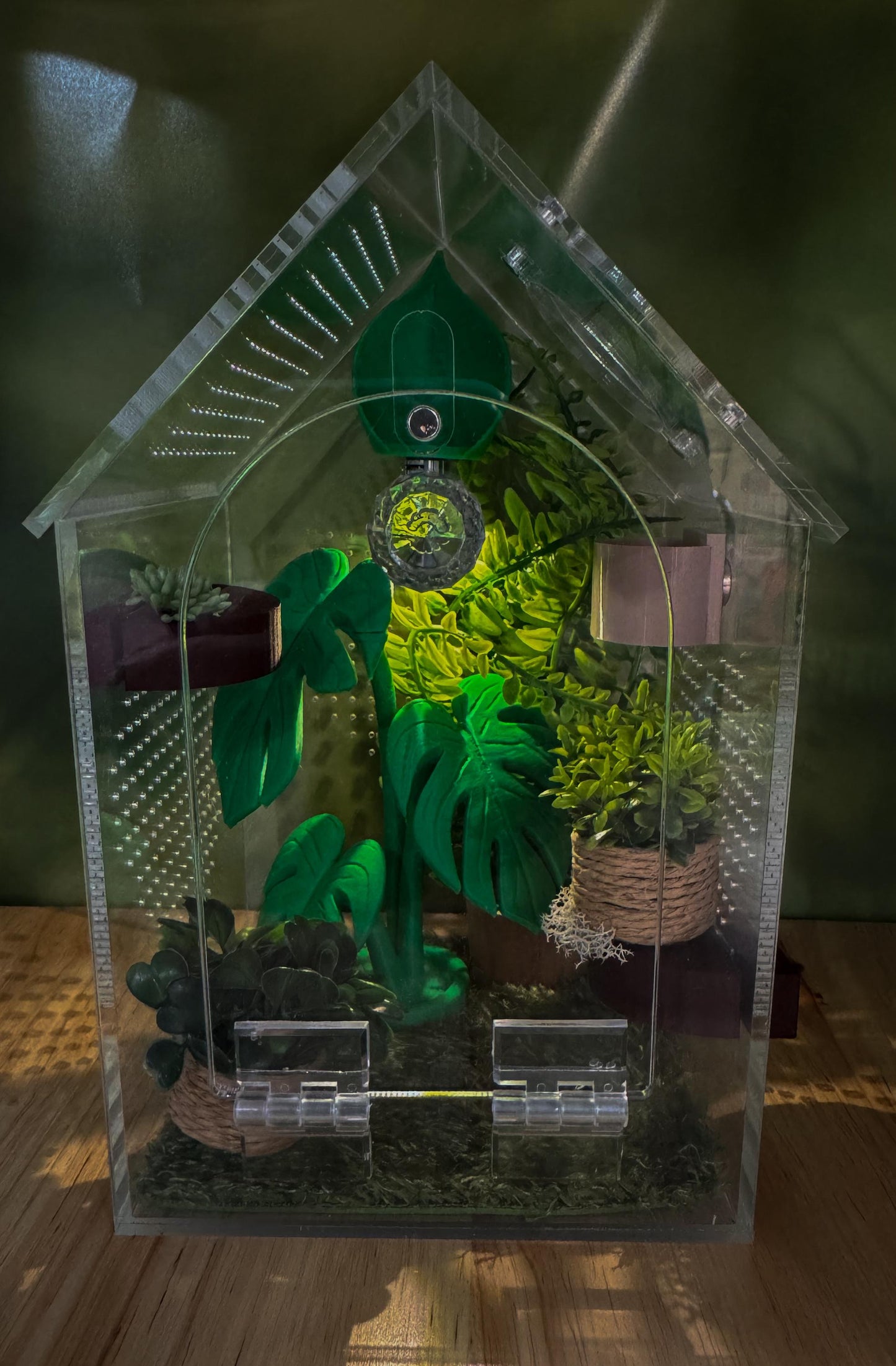 Decorated Acrylic Jumping Spider Enclosure, Front Opening Habitat (8x5x5)
