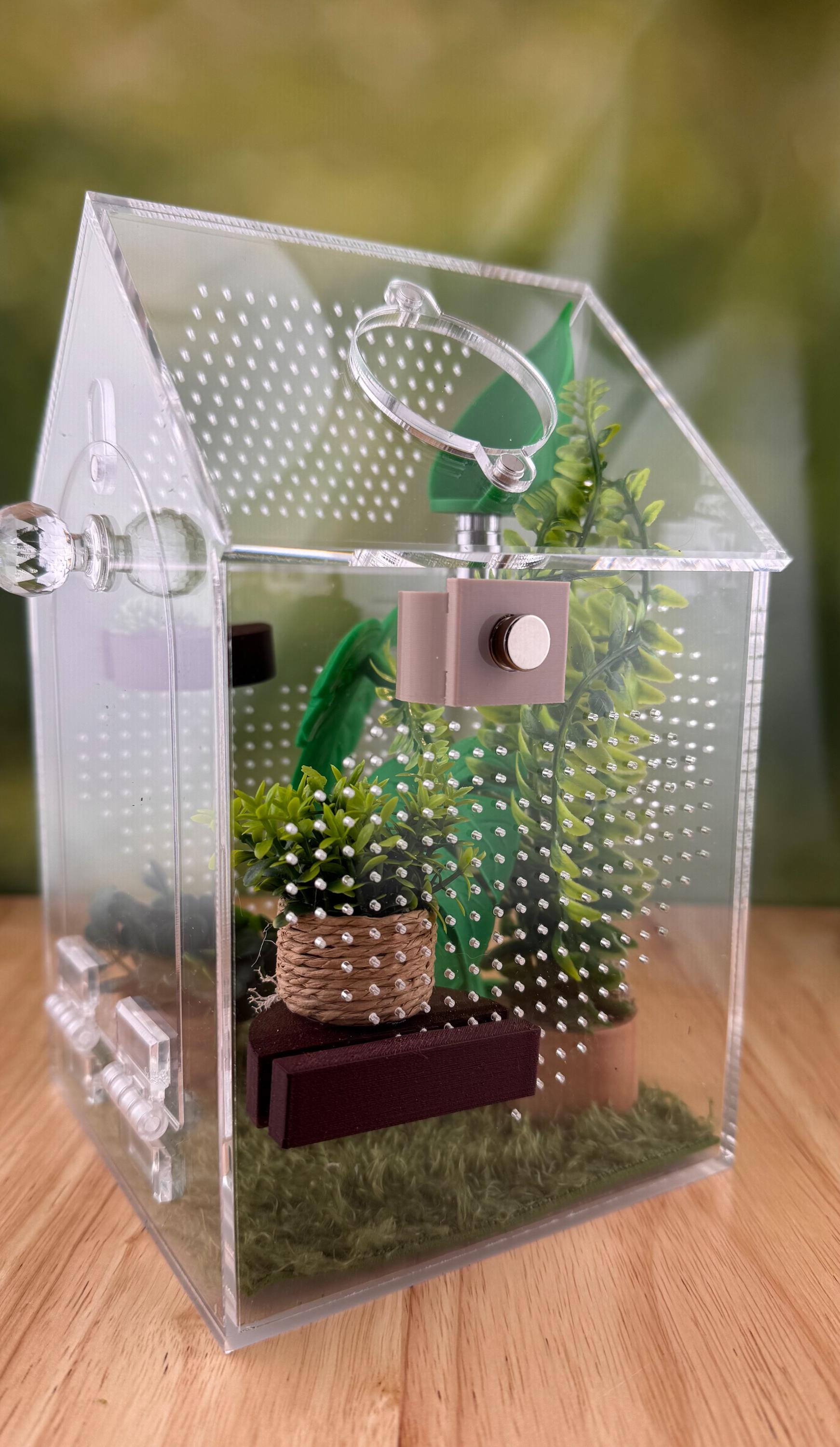 Decorated Acrylic Jumping Spider Enclosure, Front Opening Habitat (8x5x5)