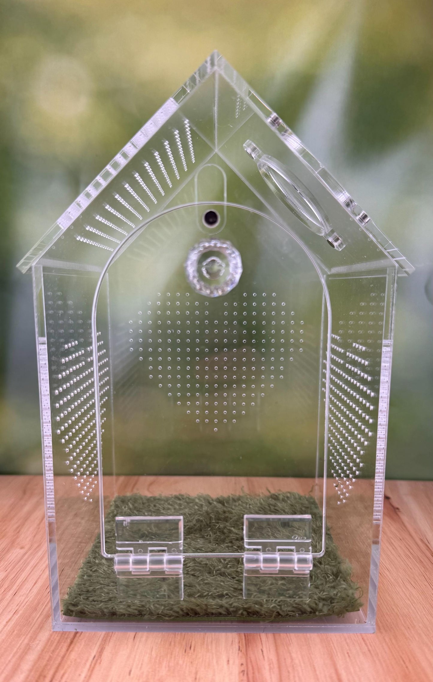 Decorated Acrylic Jumping Spider Enclosure, Front Opening Habitat (8x5x5)