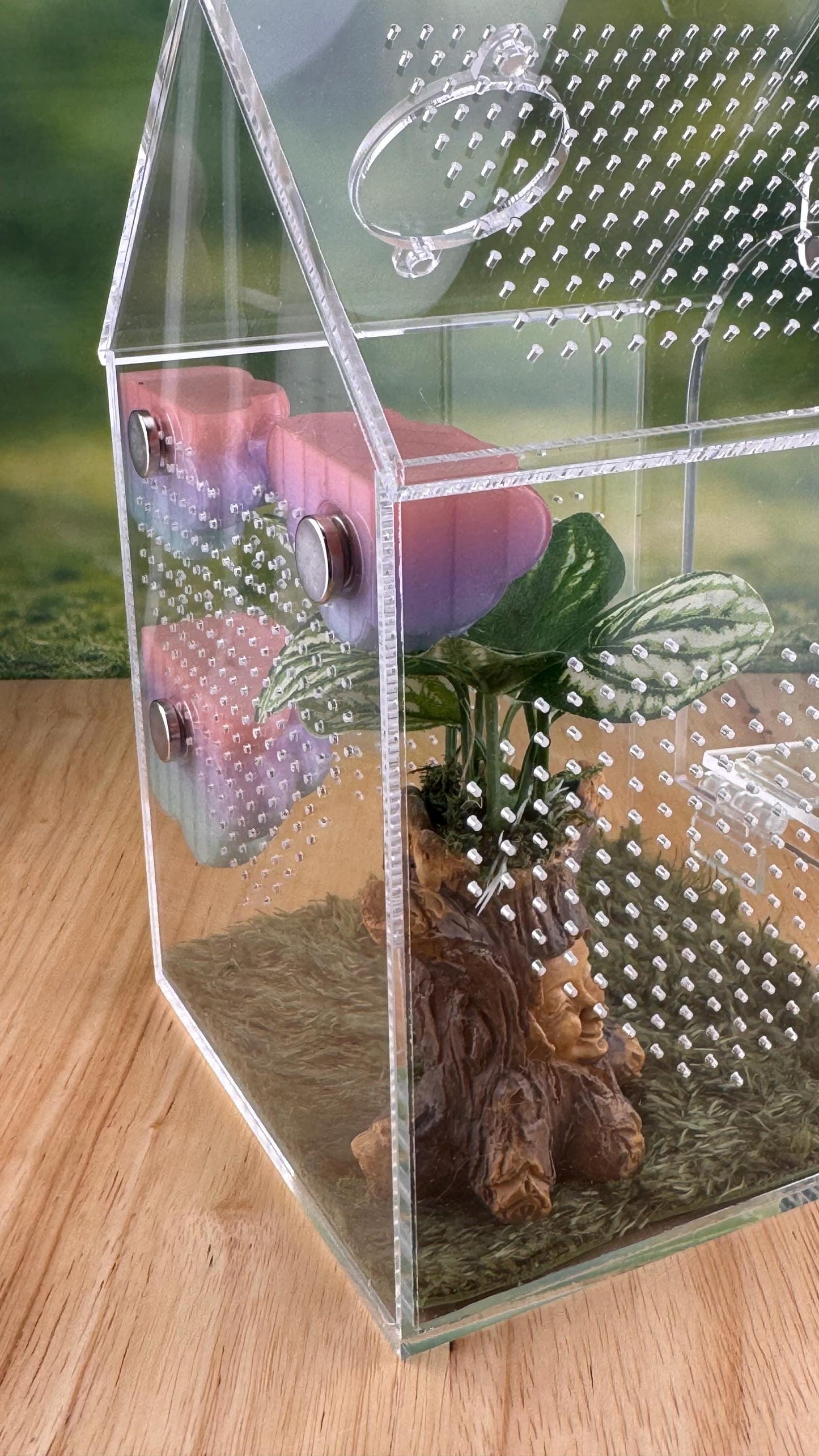 3D Printed Corner Cloud Shelf, Magnetic Jumping Spider Habitat Decor