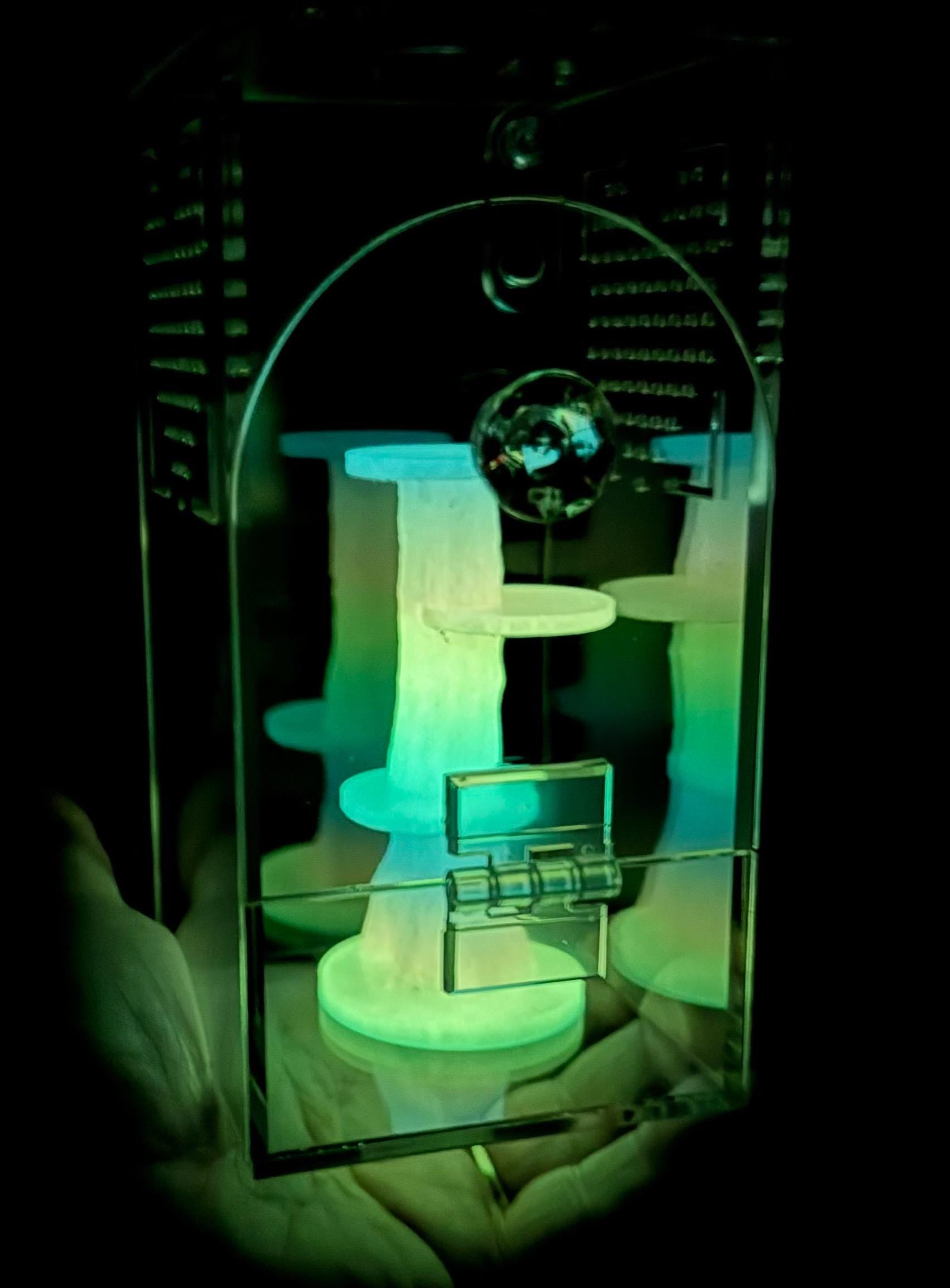 Rainbow Glow in the Dark Jumping Spider Tower playground or enclosure accessory