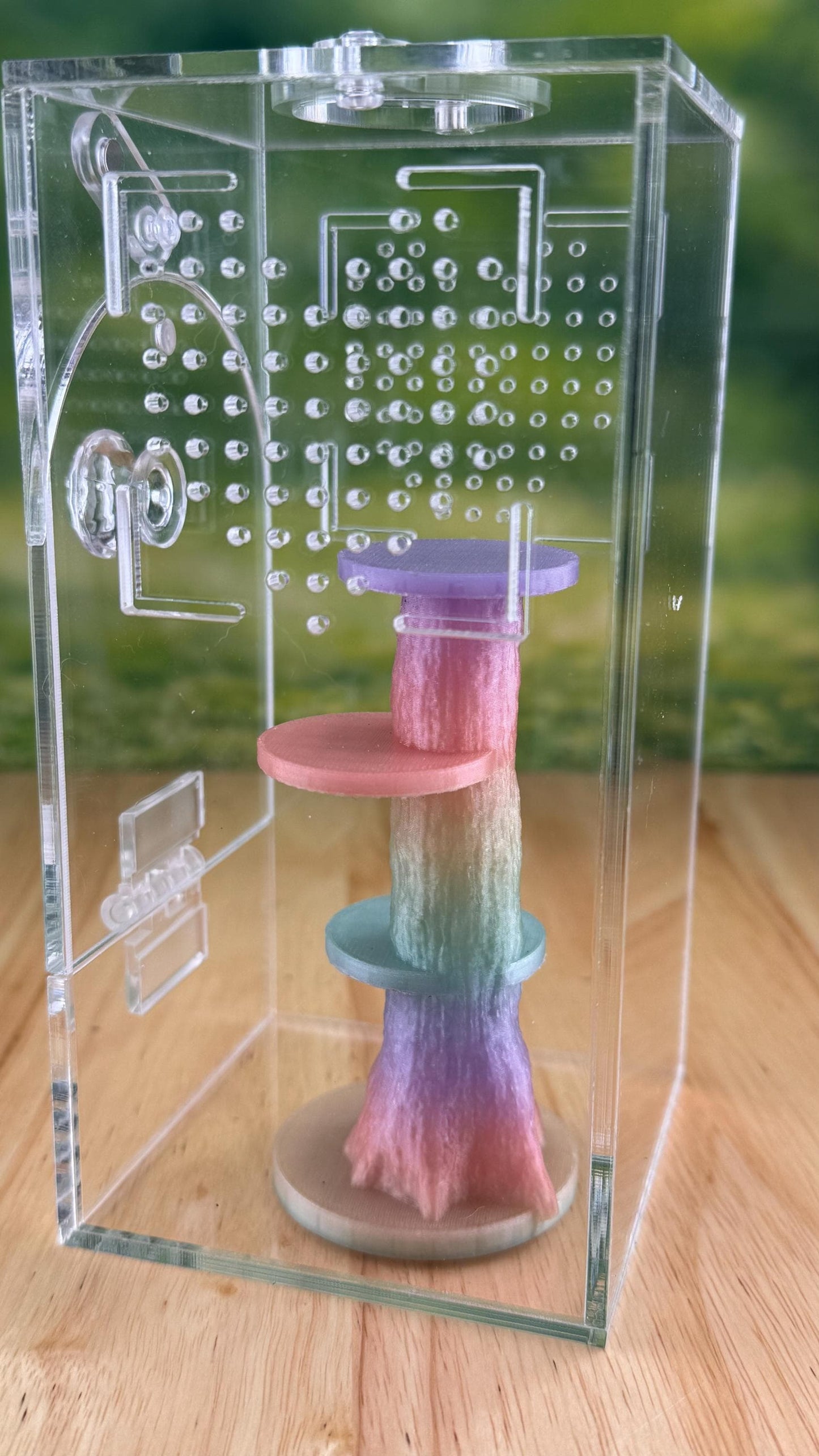 Rainbow Glow in the Dark Jumping Spider Tower playground or enclosure accessory