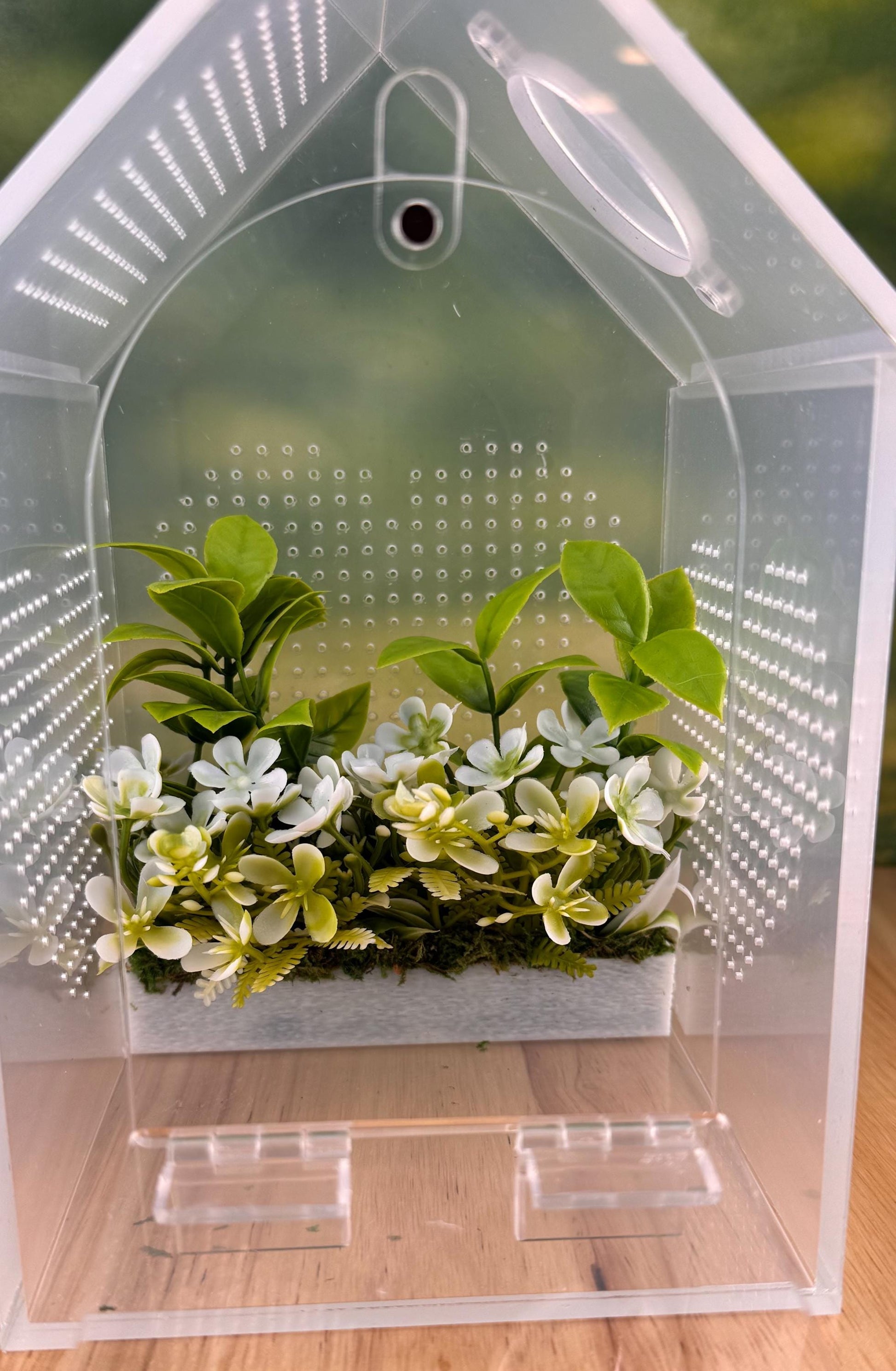 Jumping Spider Decor/Decoration/accessory for enclosure or playground.