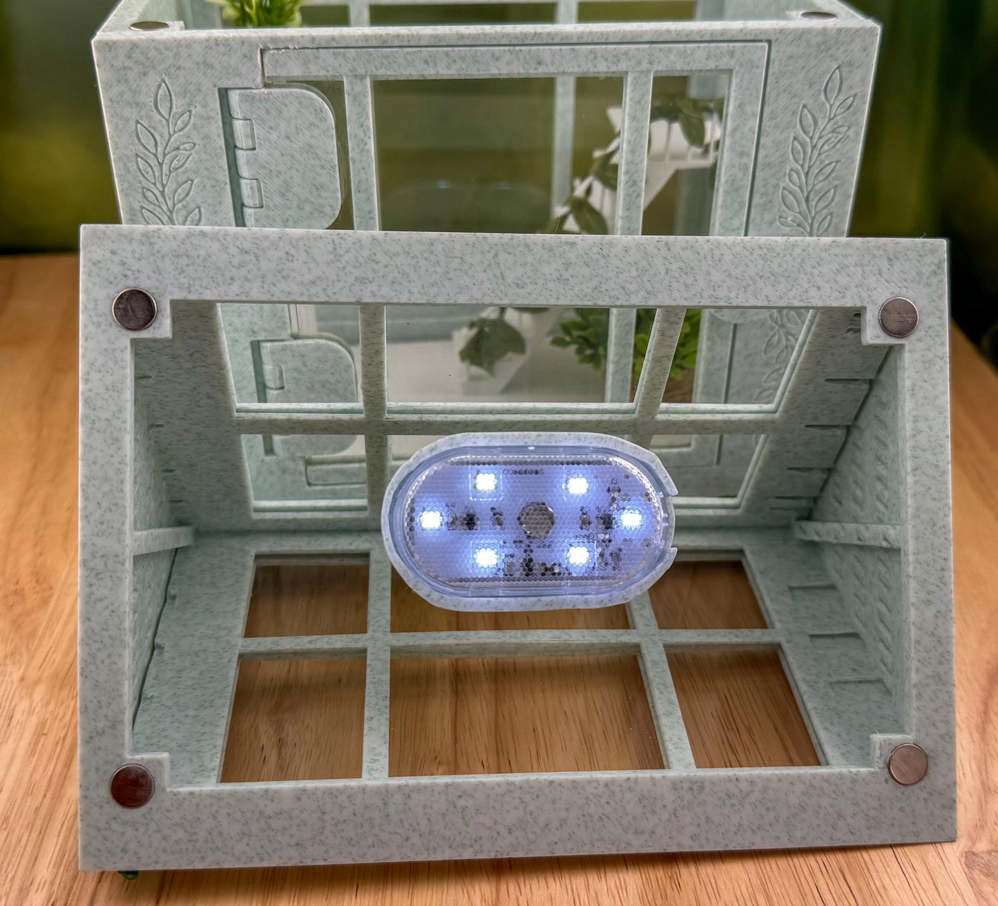 Decorated Greenhouse Jumping Spider Enclosure, Magnetic Front and top opening - Green Marble