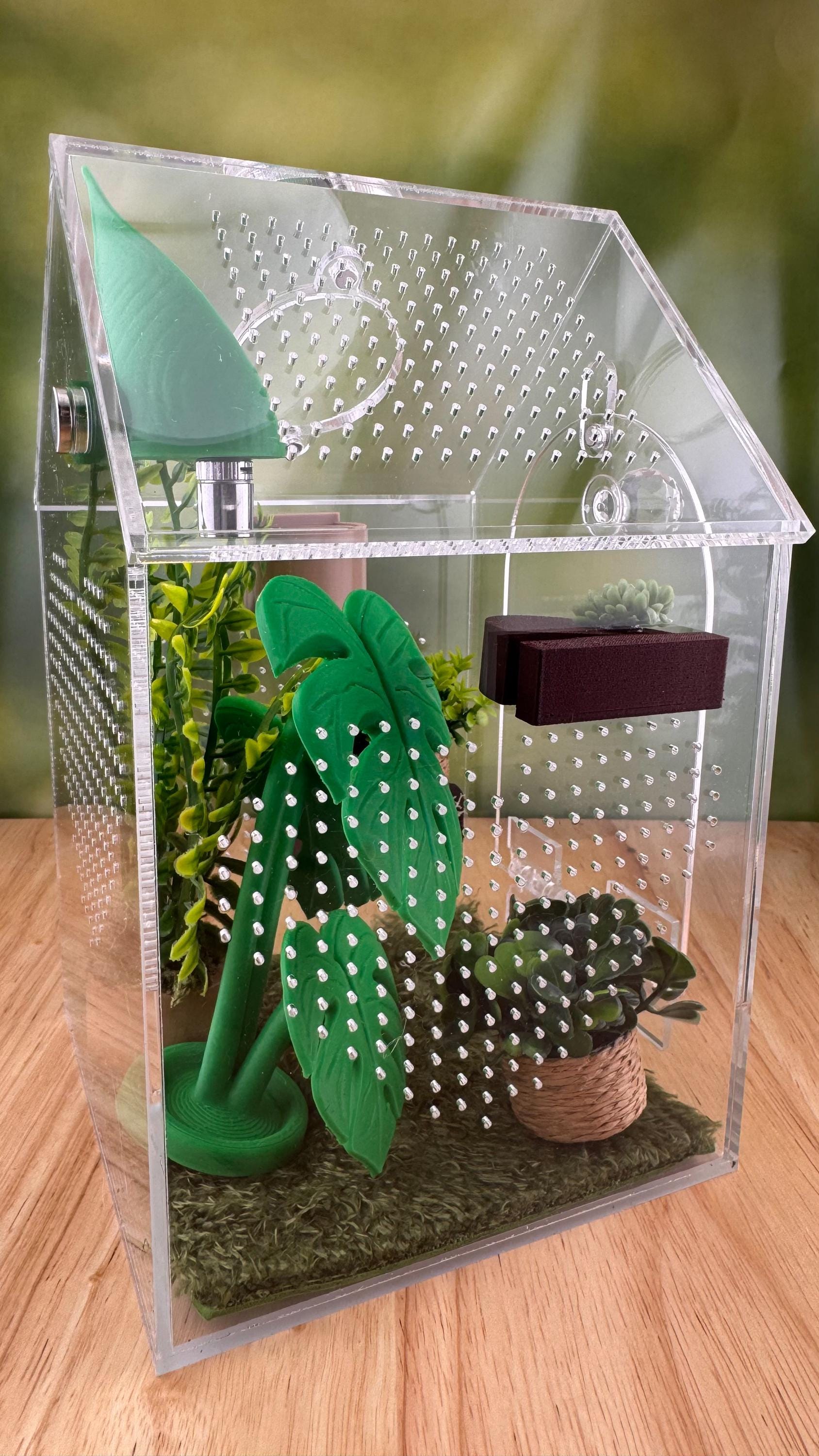 Decorated Acrylic Jumping Spider Enclosure, Front Opening Habitat (8x5x5)