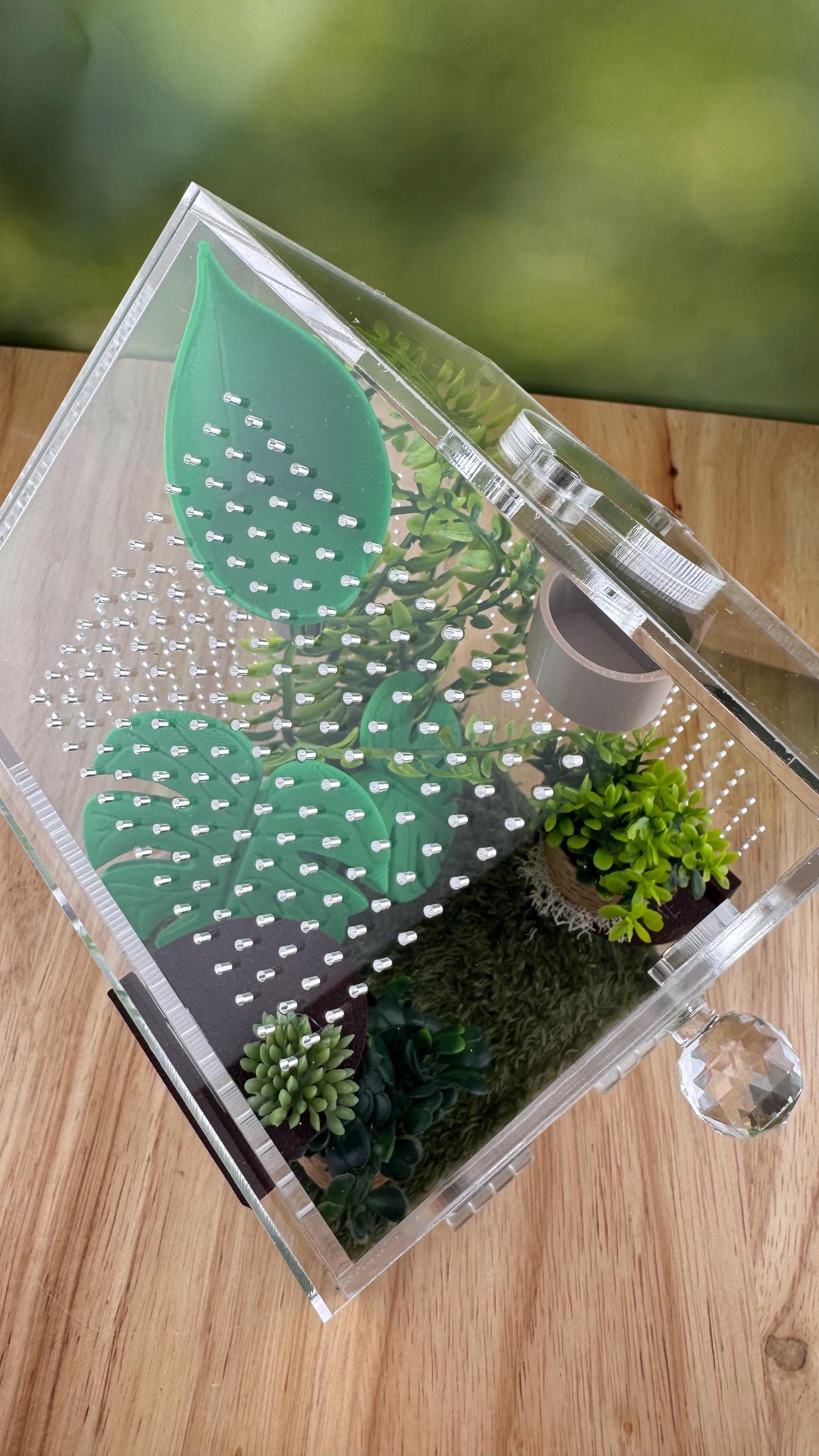 Decorated Acrylic Jumping Spider Enclosure, Front Opening Habitat (8x5x5)
