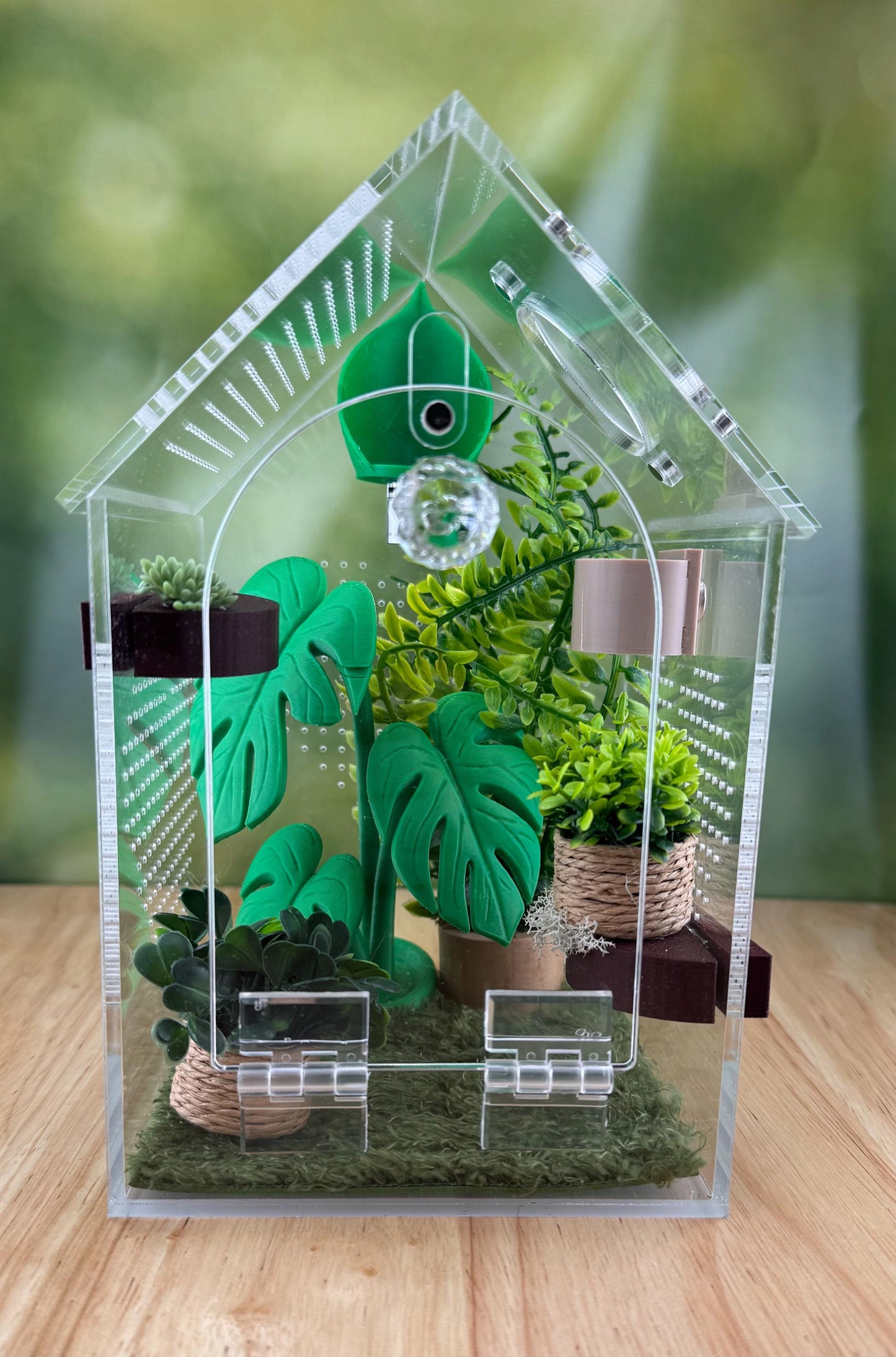 Decorated Acrylic Jumping Spider Enclosure, Front Opening Habitat (8x5x5)