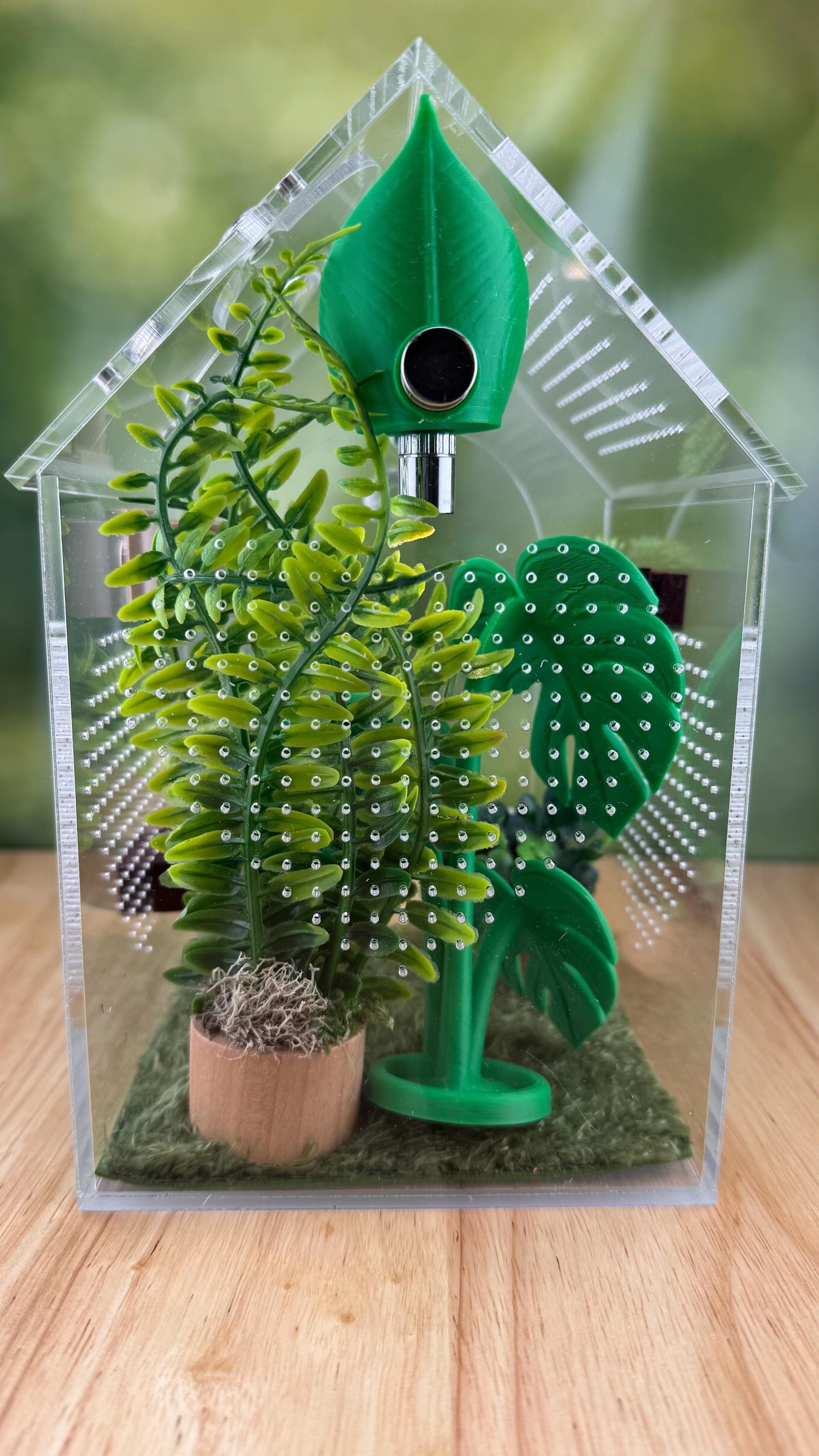 Decorated Acrylic Jumping Spider Enclosure, Front Opening Habitat (8x5x5)
