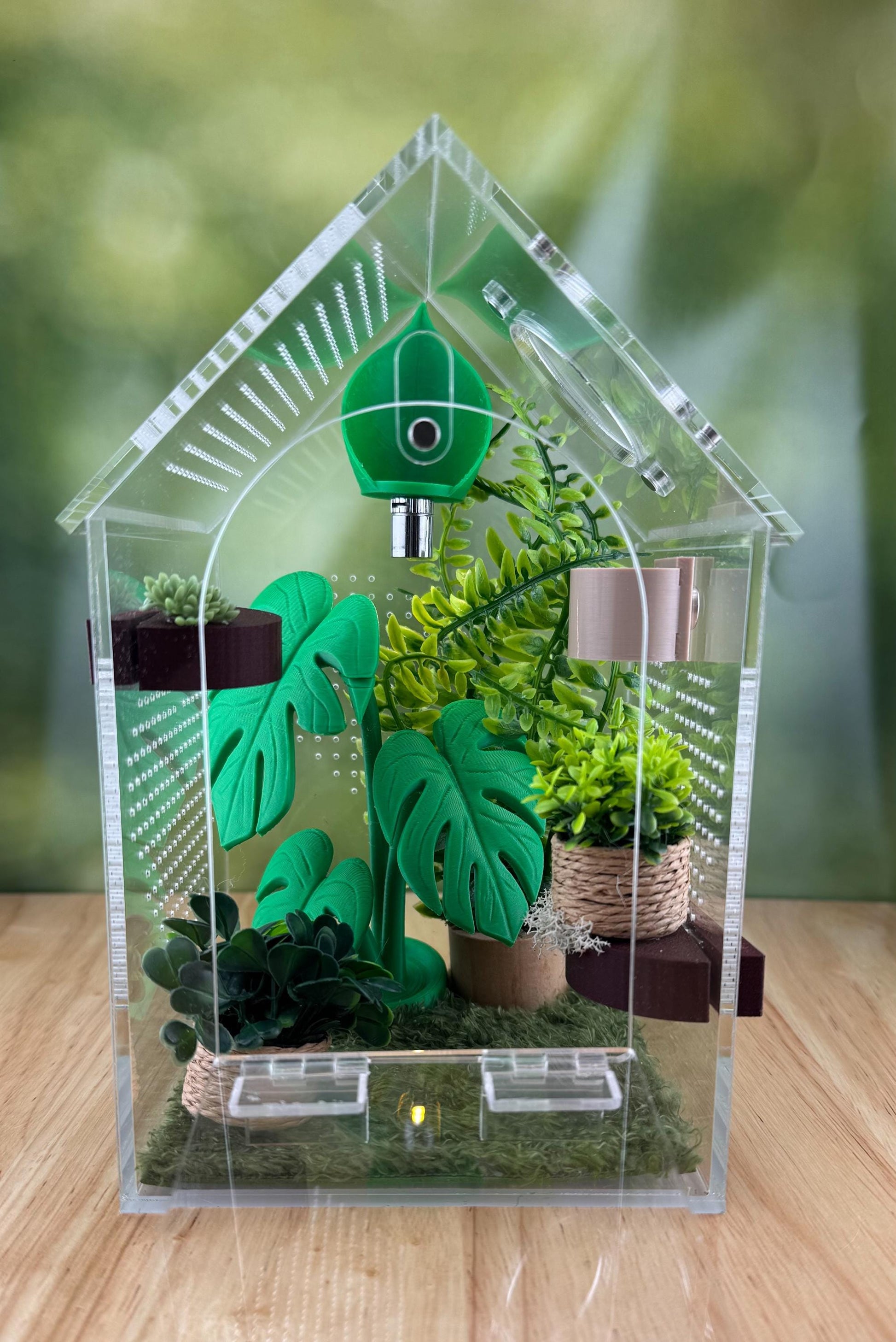 Decorated Acrylic Jumping Spider Enclosure, Front Opening Habitat (8x5x5)