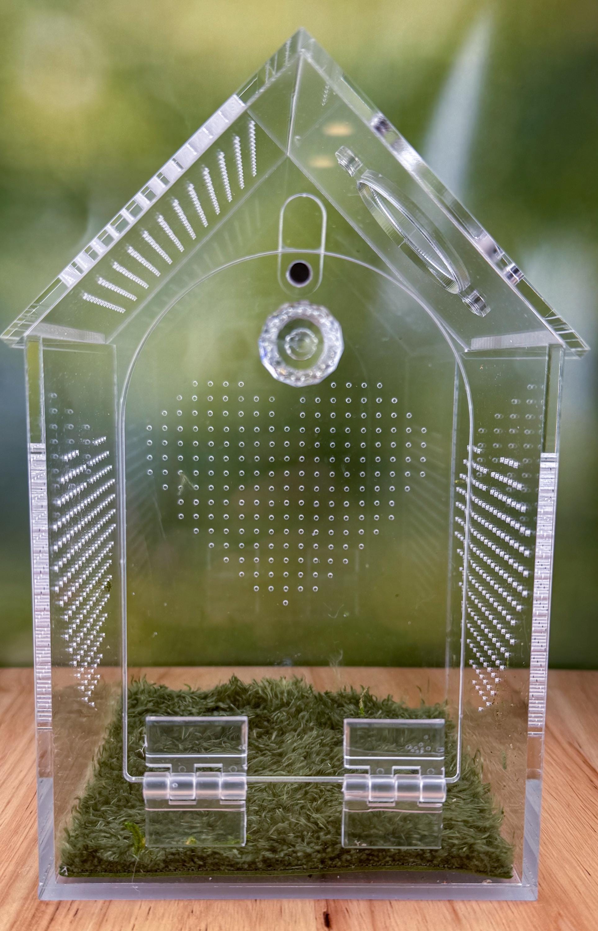 Decorated Acrylic Jumping Spider Enclosure, Front Opening Habitat (8x5x5)