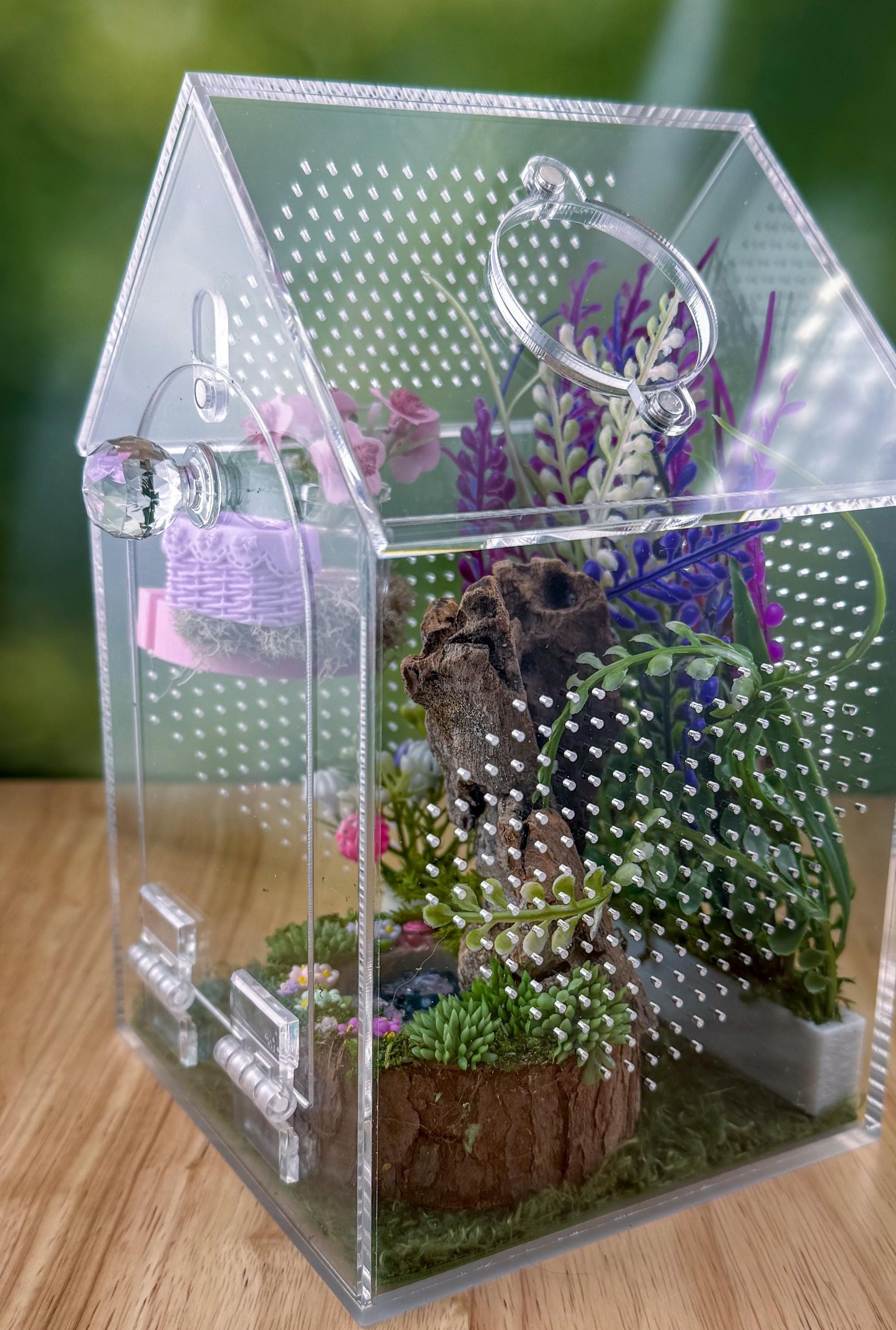 Decorated Acrylic Jumping Spider Enclosure, Front Opening Habitat (8x5x5)