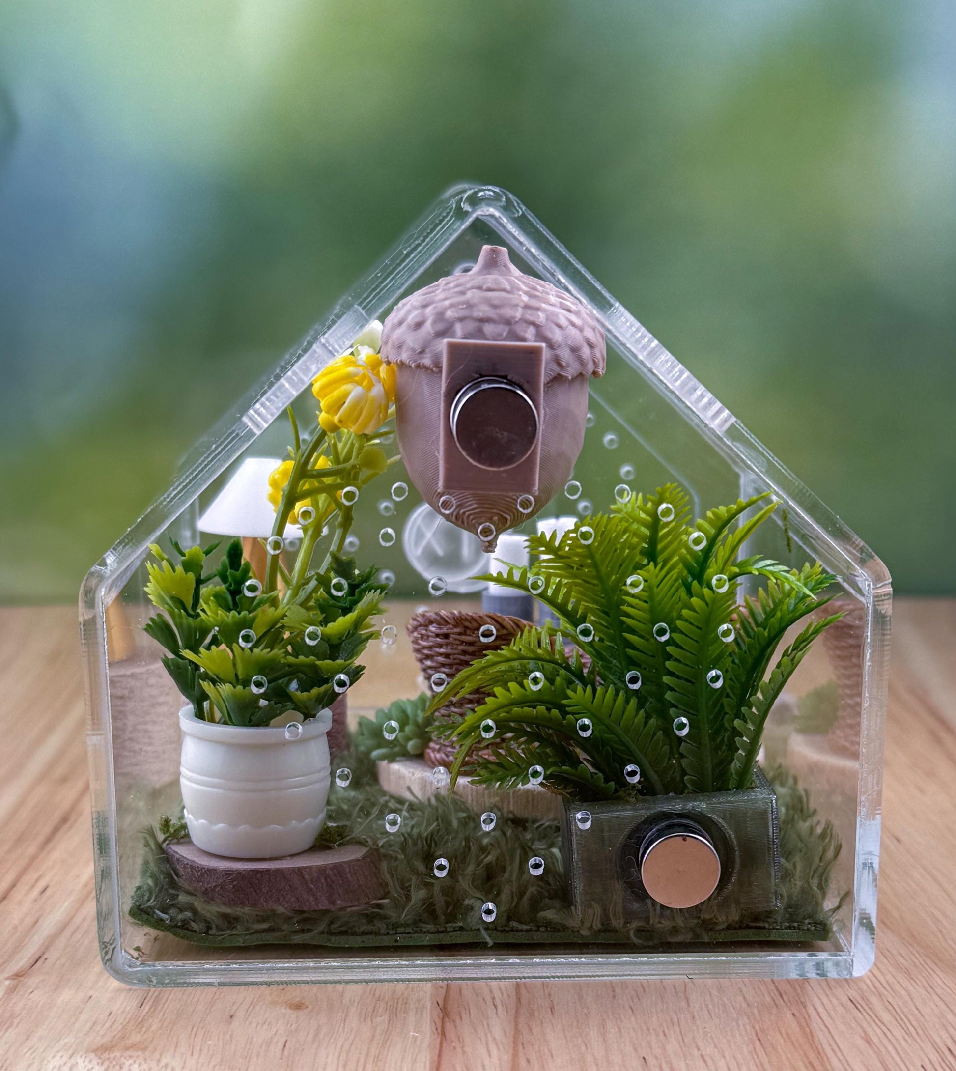 Decorated Acrylic Jumping Spider Enclosure, Front Opening Habitat 3.75x3.75x3.75