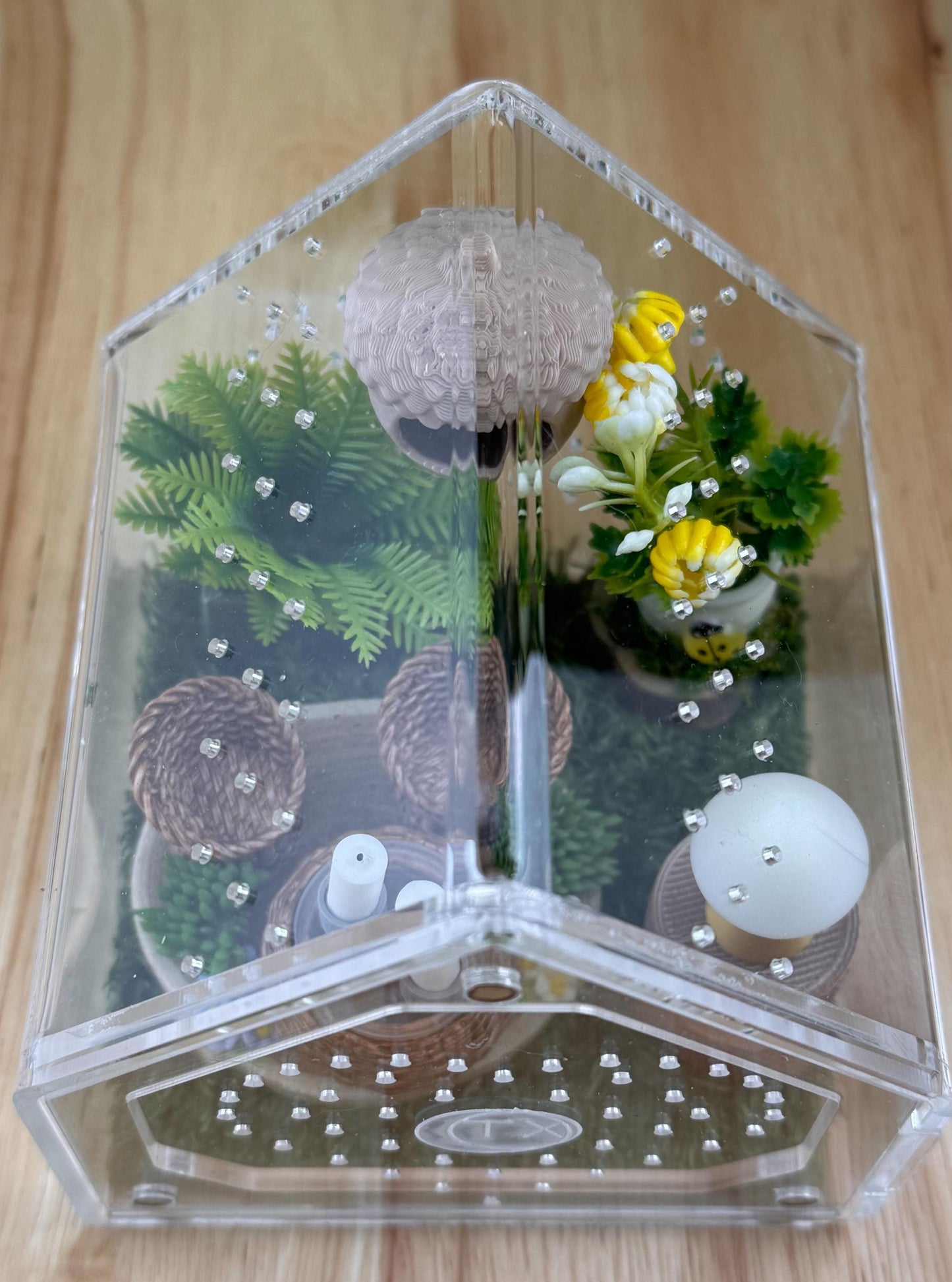 Decorated Acrylic Jumping Spider Enclosure, Front Opening Habitat 3.75x3.75x3.75