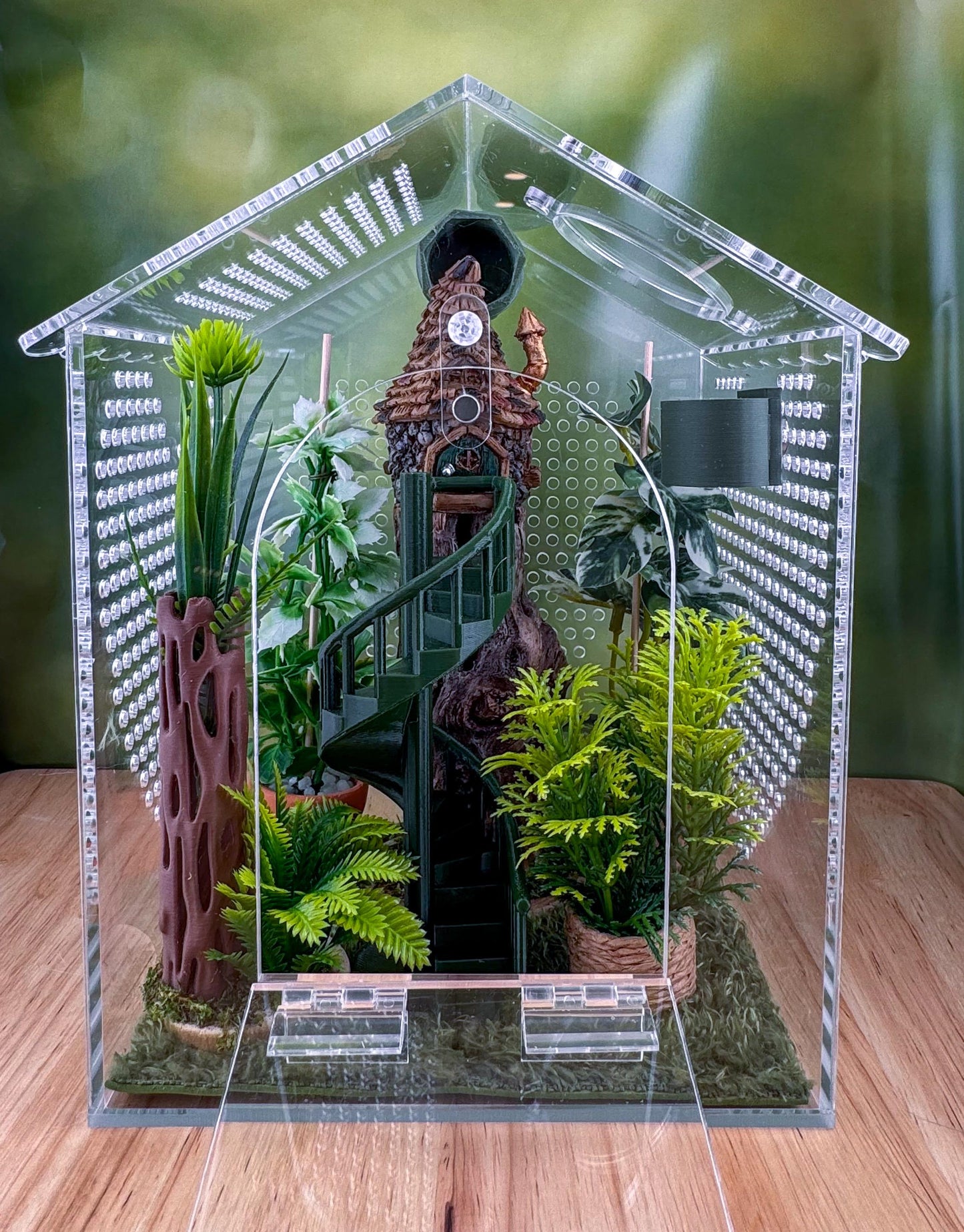 Decorated Acrylic Jumping Spider Enclosure, Front Opening Habitat (6.2x6x5)