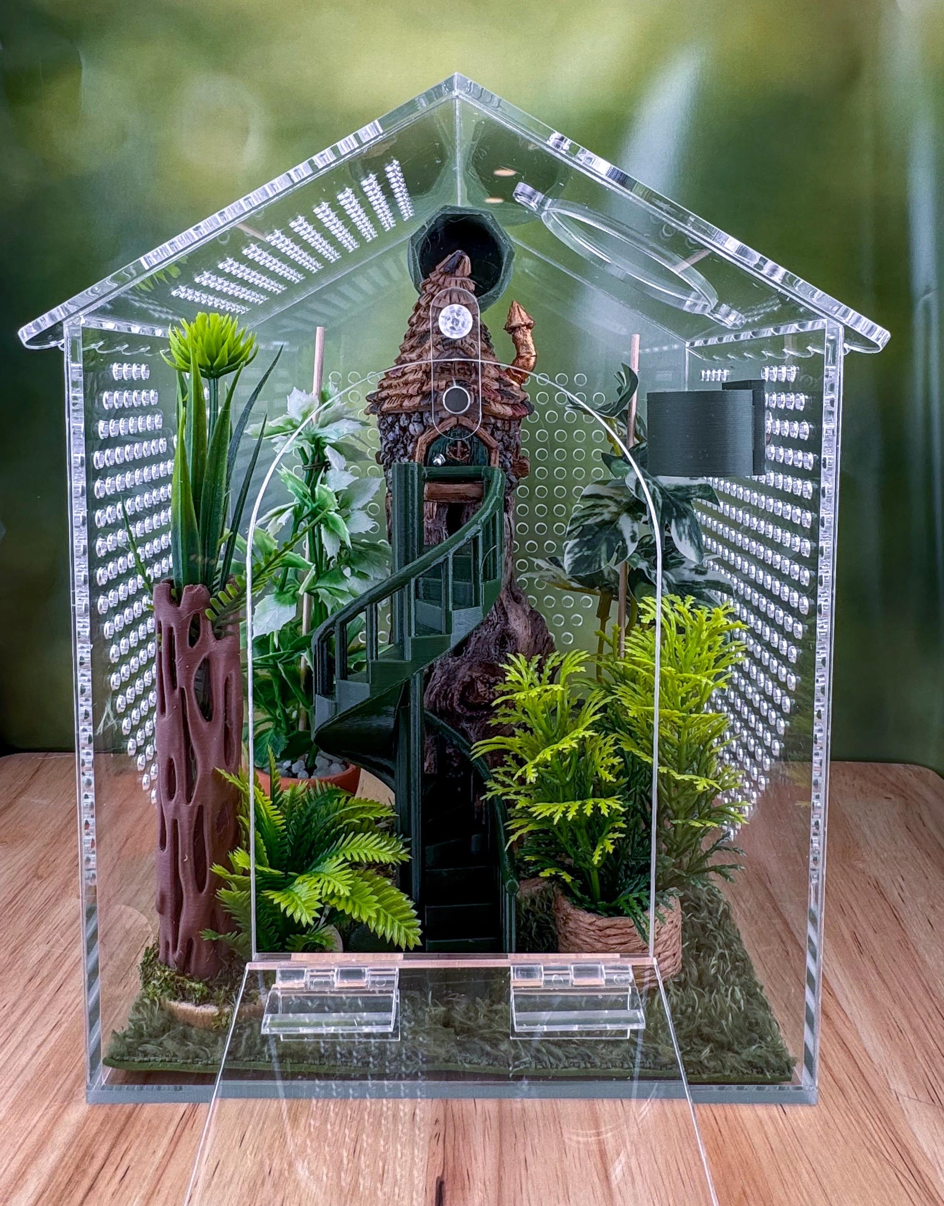 Decorated Acrylic Jumping Spider Enclosure, Front Opening Habitat (6.2x6x5)