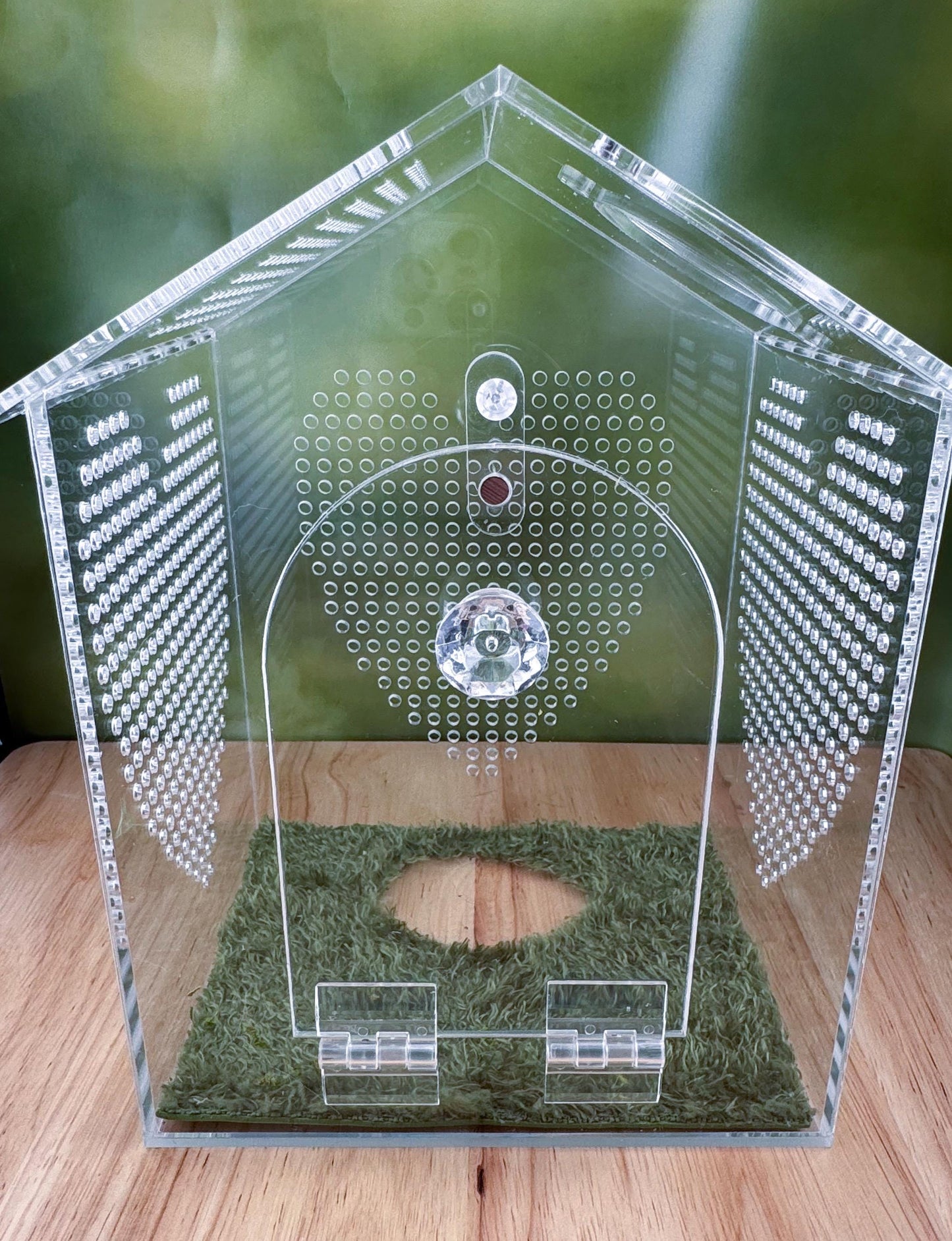 Decorated Acrylic Jumping Spider Enclosure, Front Opening Habitat (6.2x6x5)