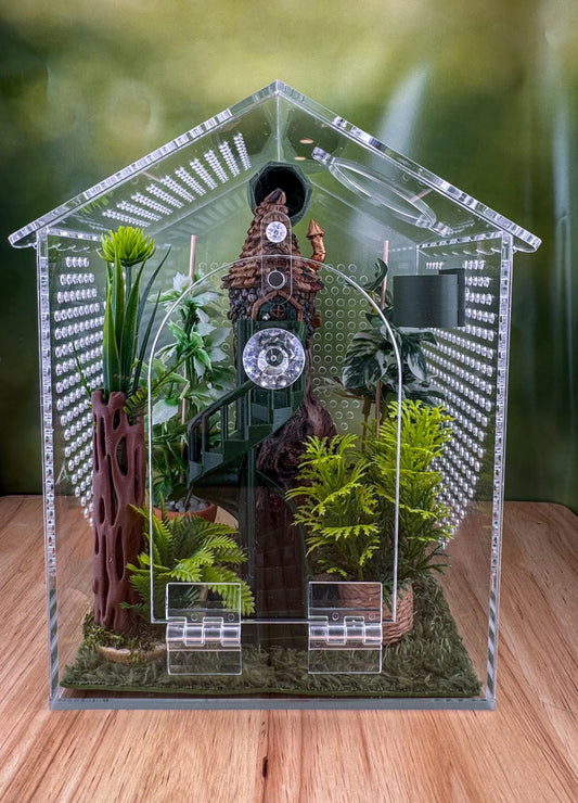 Decorated Acrylic Jumping Spider Enclosure, Front Opening Habitat (6.2x6x5)