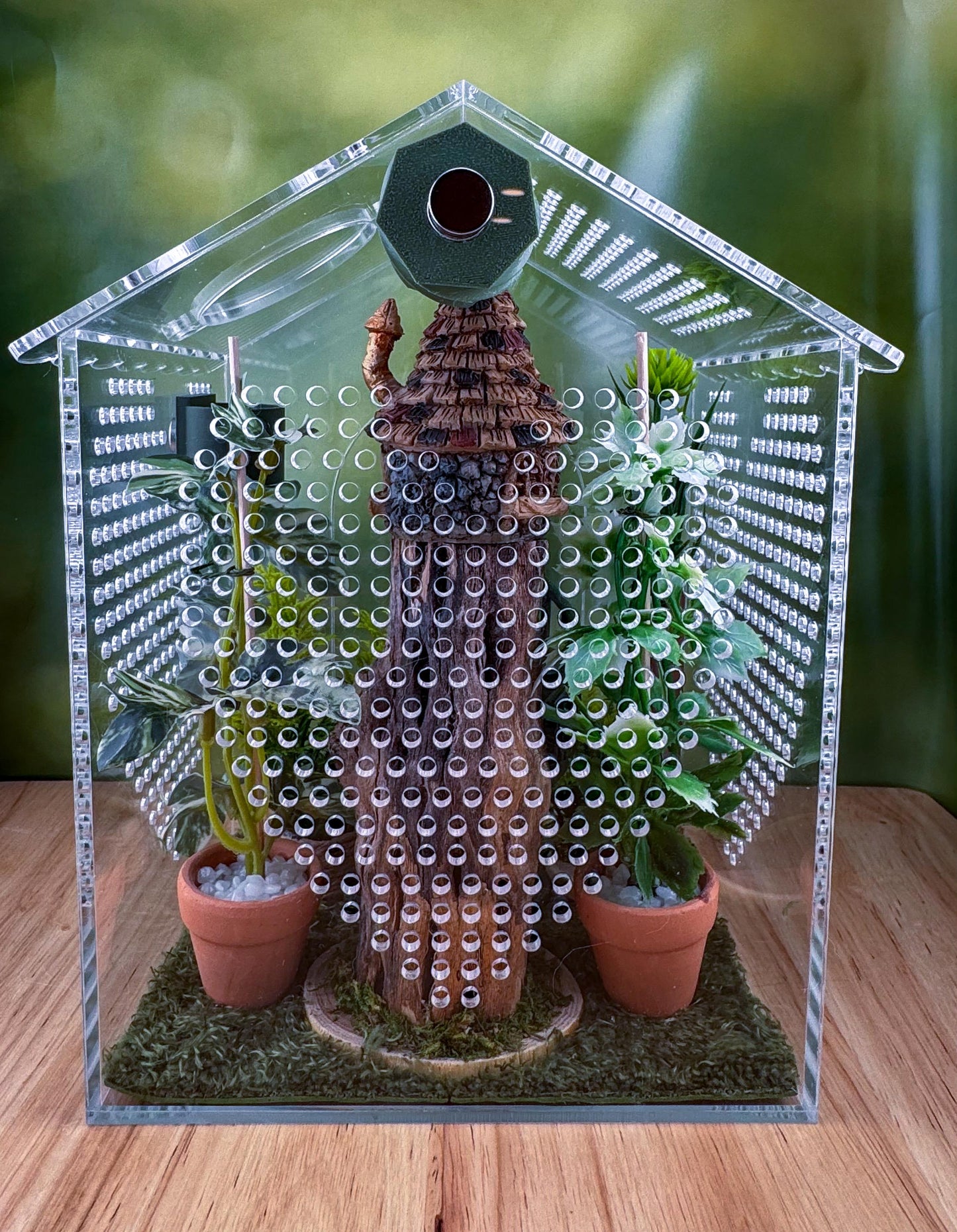 Decorated Acrylic Jumping Spider Enclosure, Front Opening Habitat (6.2x6x5)