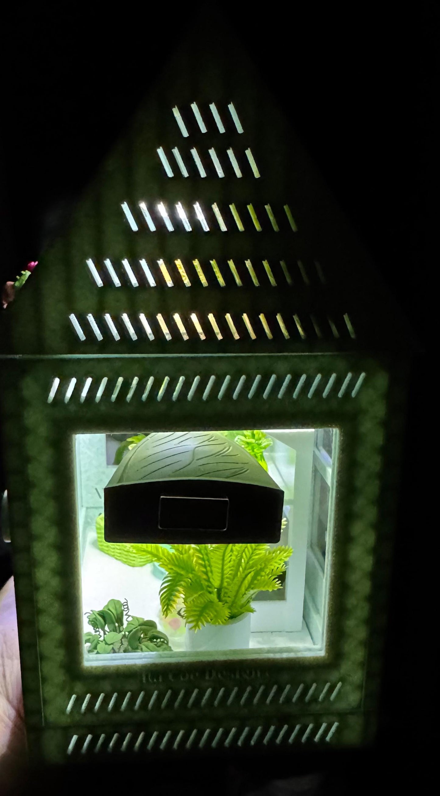 Decorated Jumping Spider greenhouse Enclosure, Magnetic Front and top opening - Green Marble