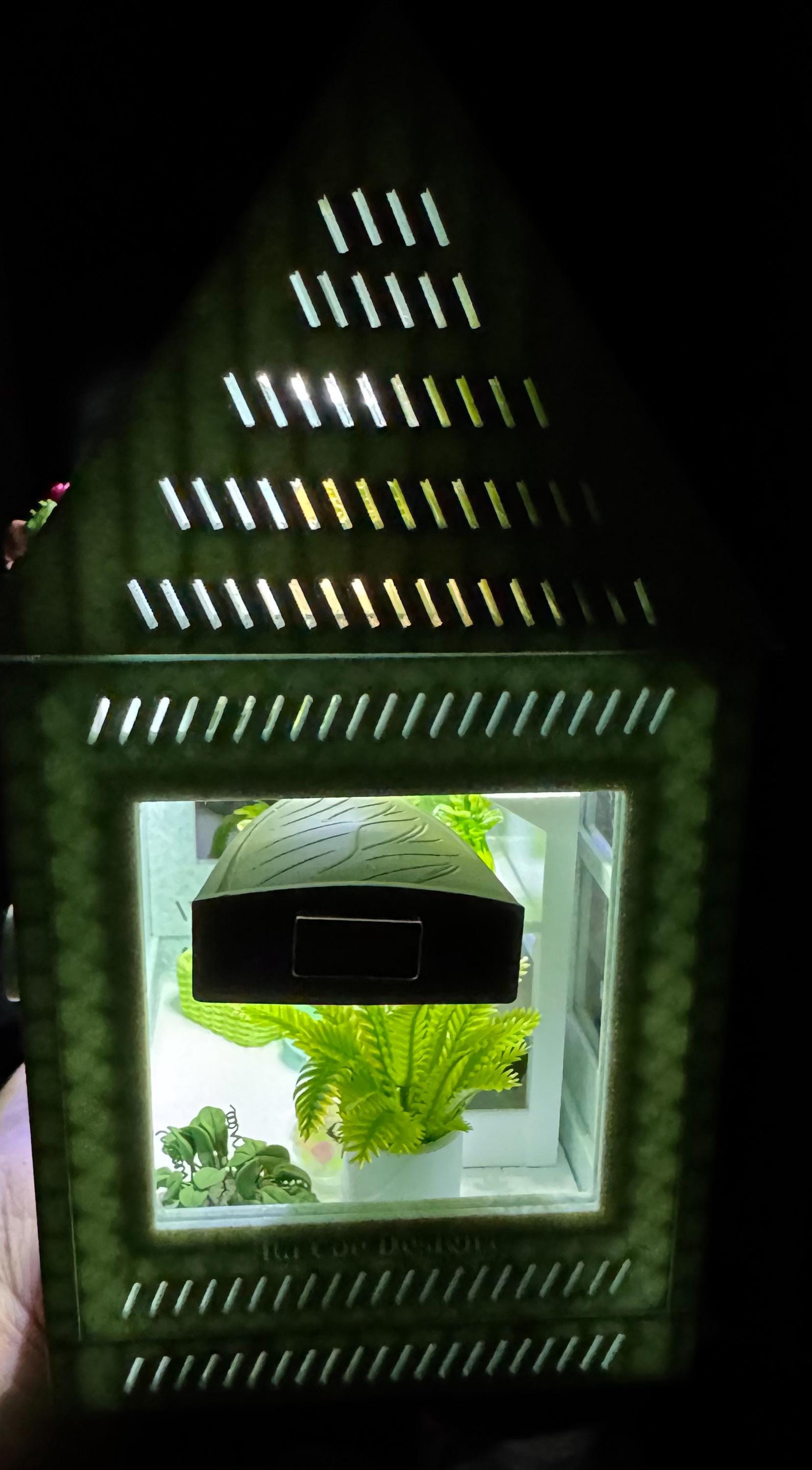 Decorated Jumping Spider greenhouse Enclosure, Magnetic Front and top opening - Green Marble