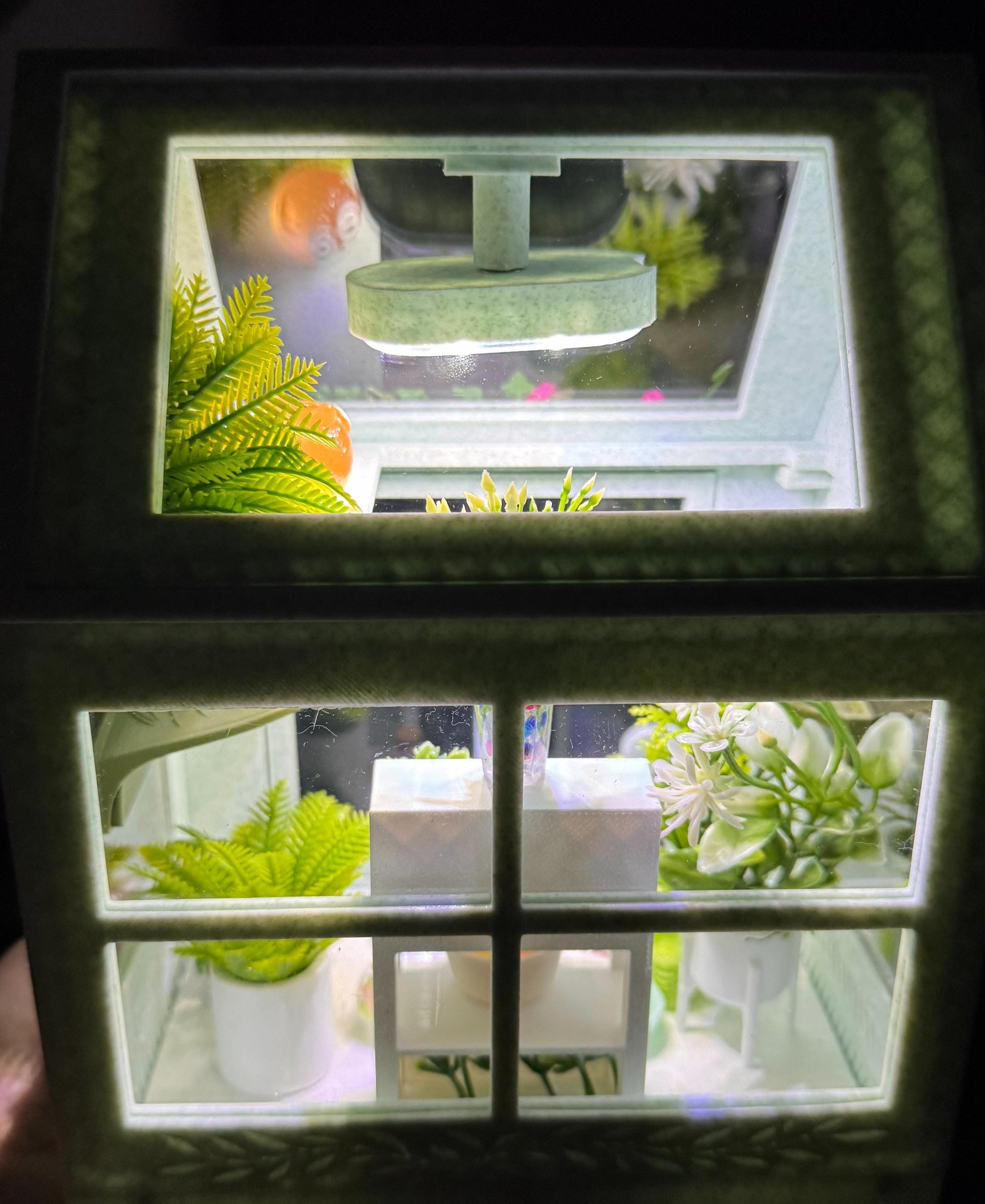 Decorated Jumping Spider greenhouse Enclosure, Magnetic Front and top opening - Green Marble