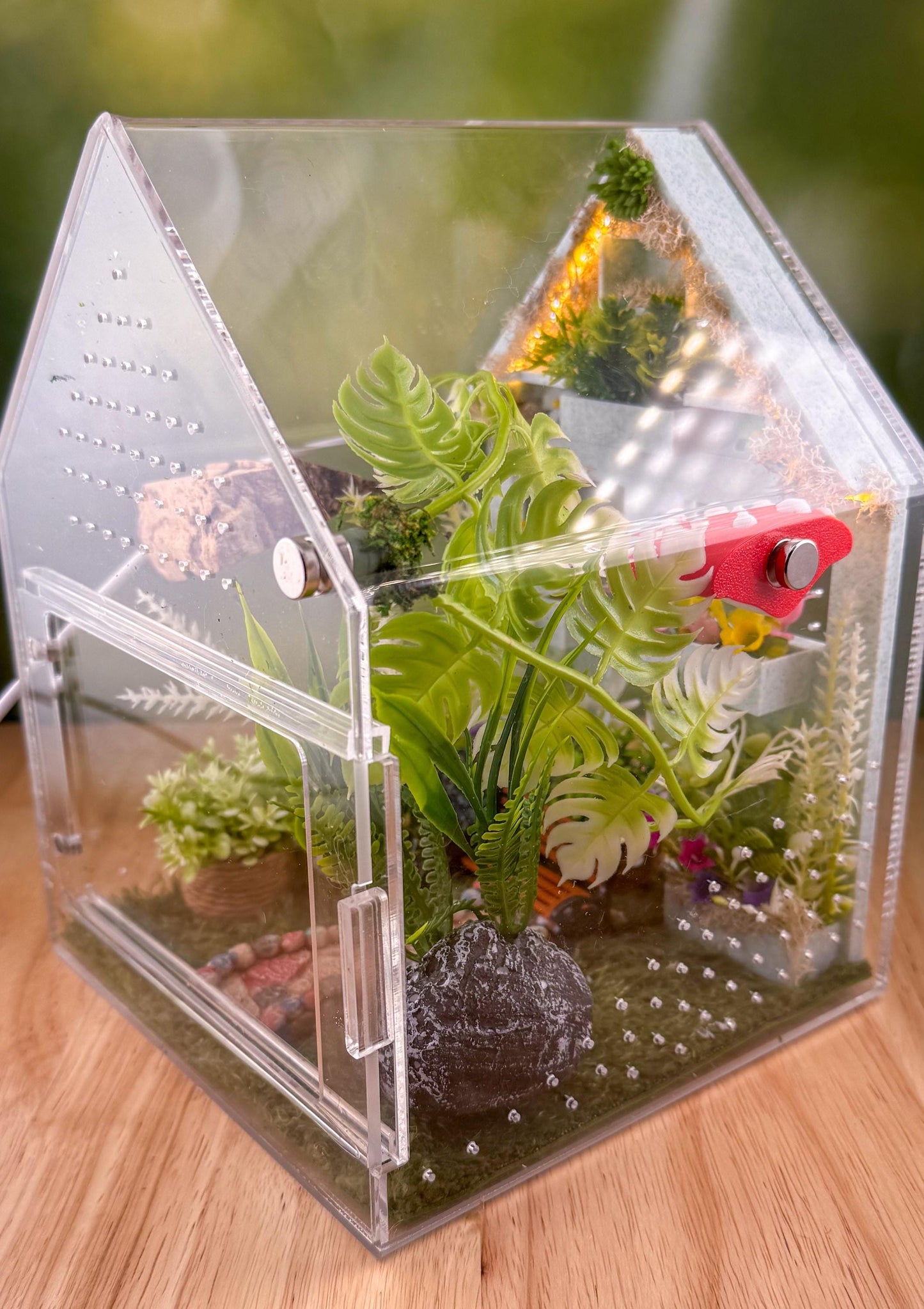 Decorated Acrylic Jumping Spider Enclosure, Front Opening Habitat (8x5x5)