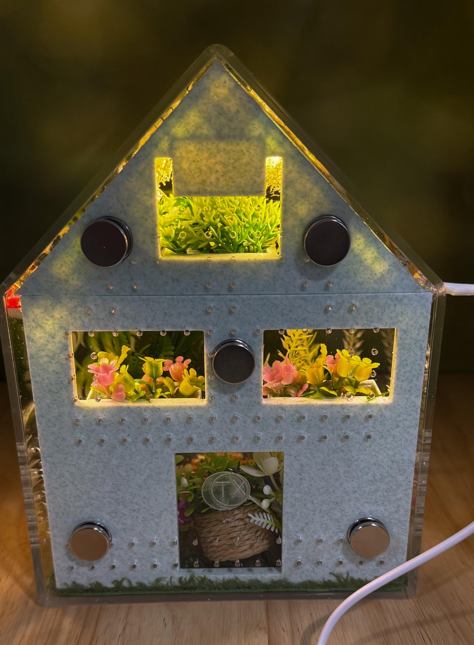 Decorated Acrylic Jumping Spider Enclosure, Front Opening Habitat (8x5x5)