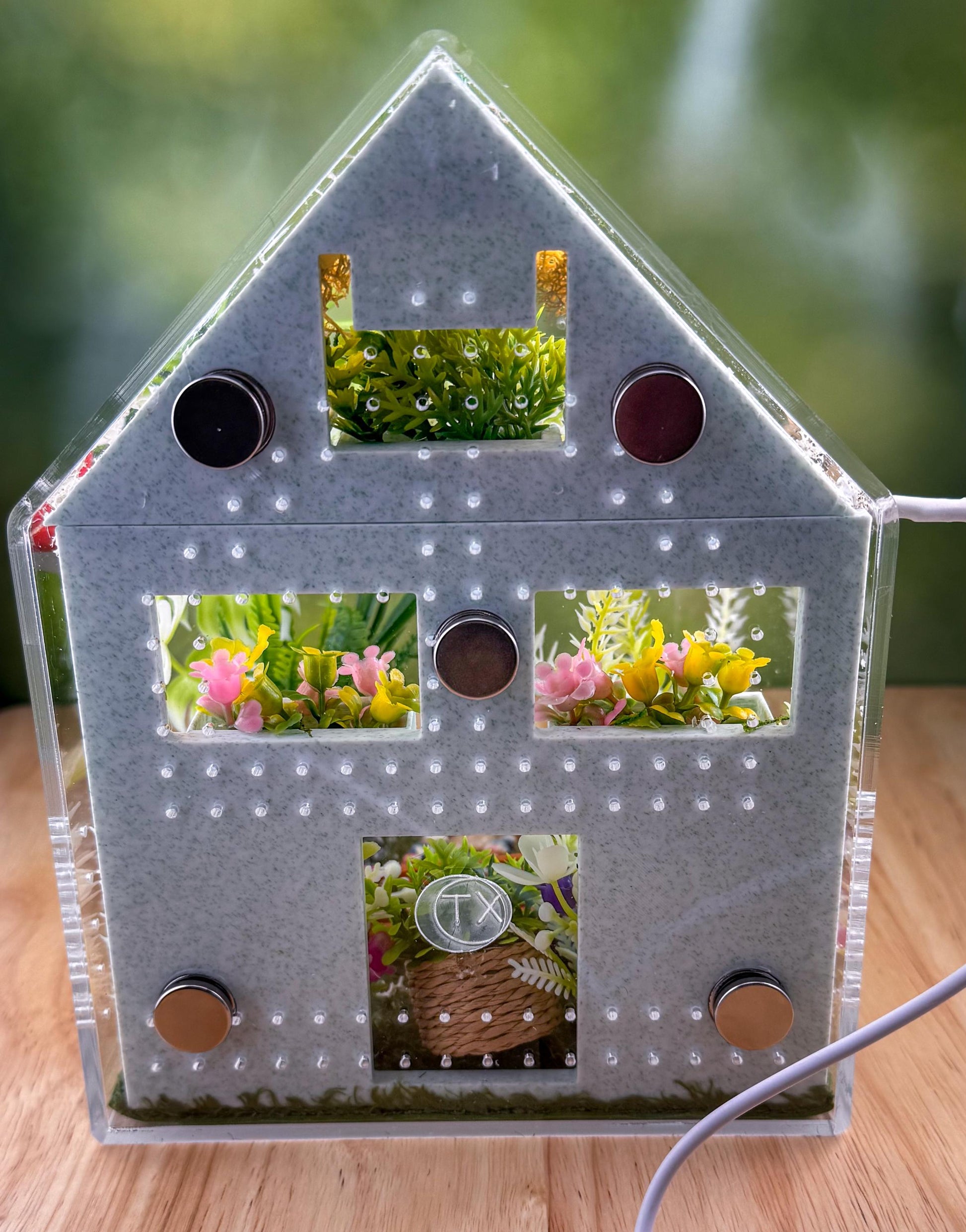 Decorated Acrylic Jumping Spider Enclosure, Front Opening Habitat (8x5x5)