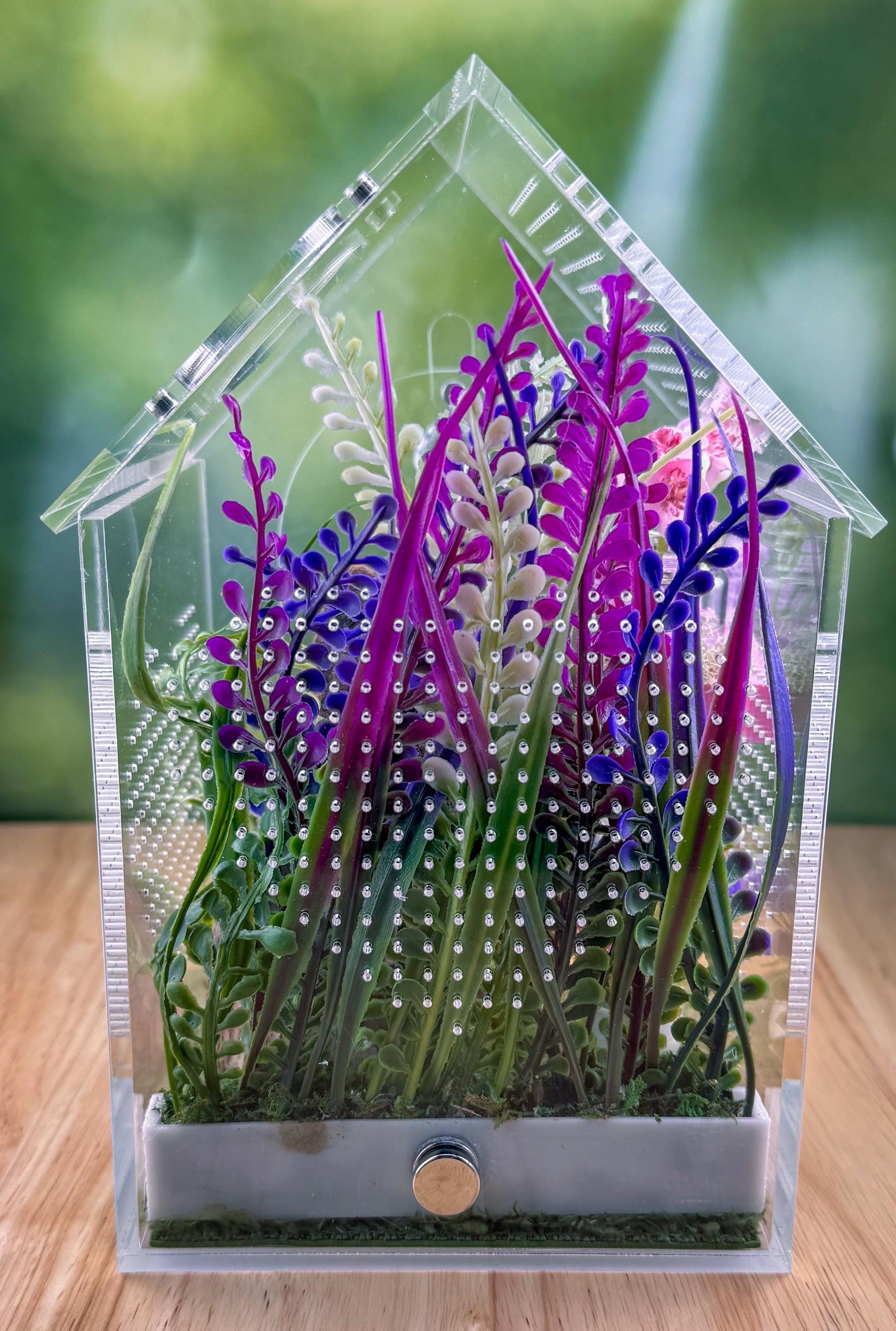 Decorated Acrylic Jumping Spider Enclosure, Front Opening Habitat (8x5x5)