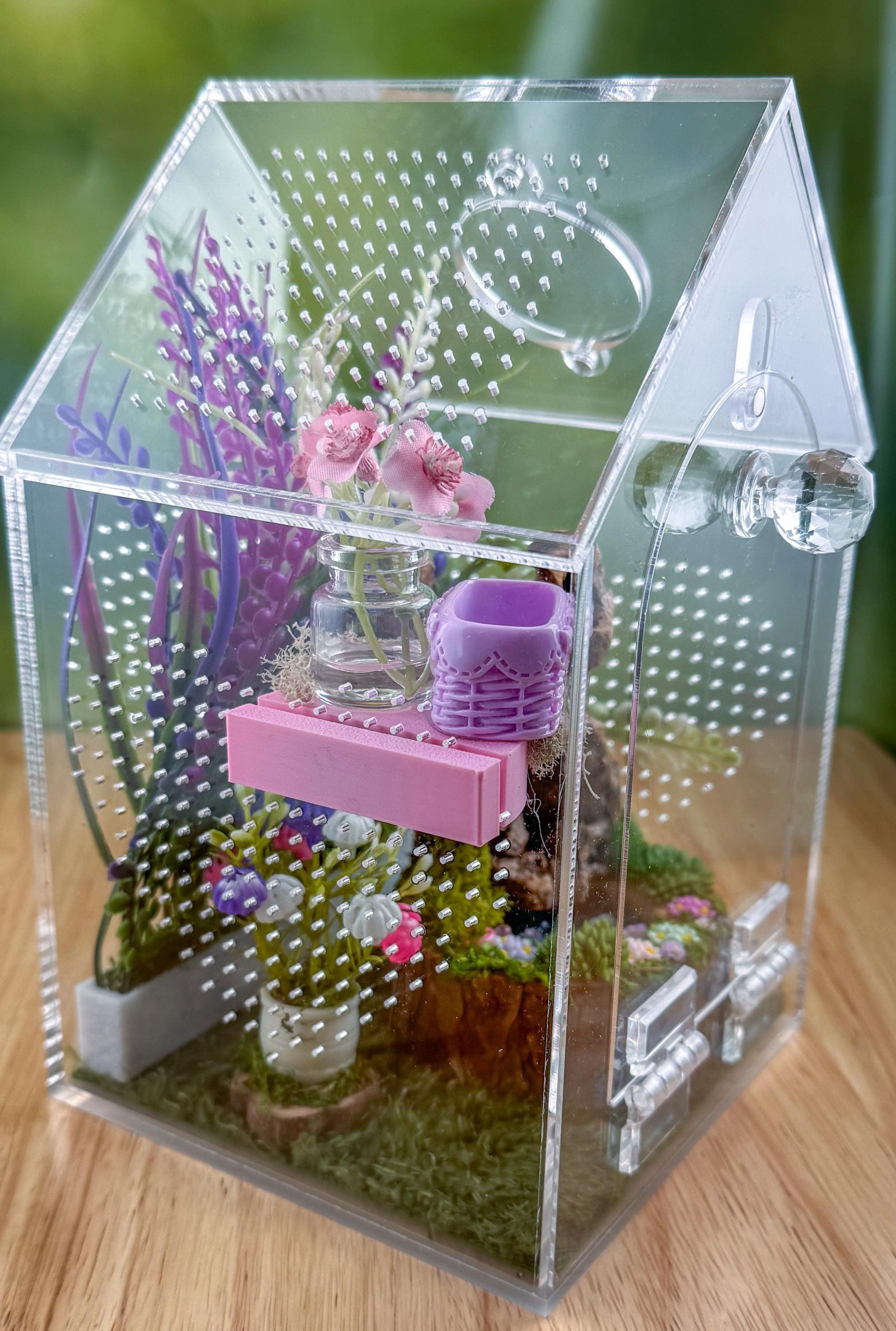 Decorated Acrylic Jumping Spider Enclosure, Front Opening Habitat (8x5x5)