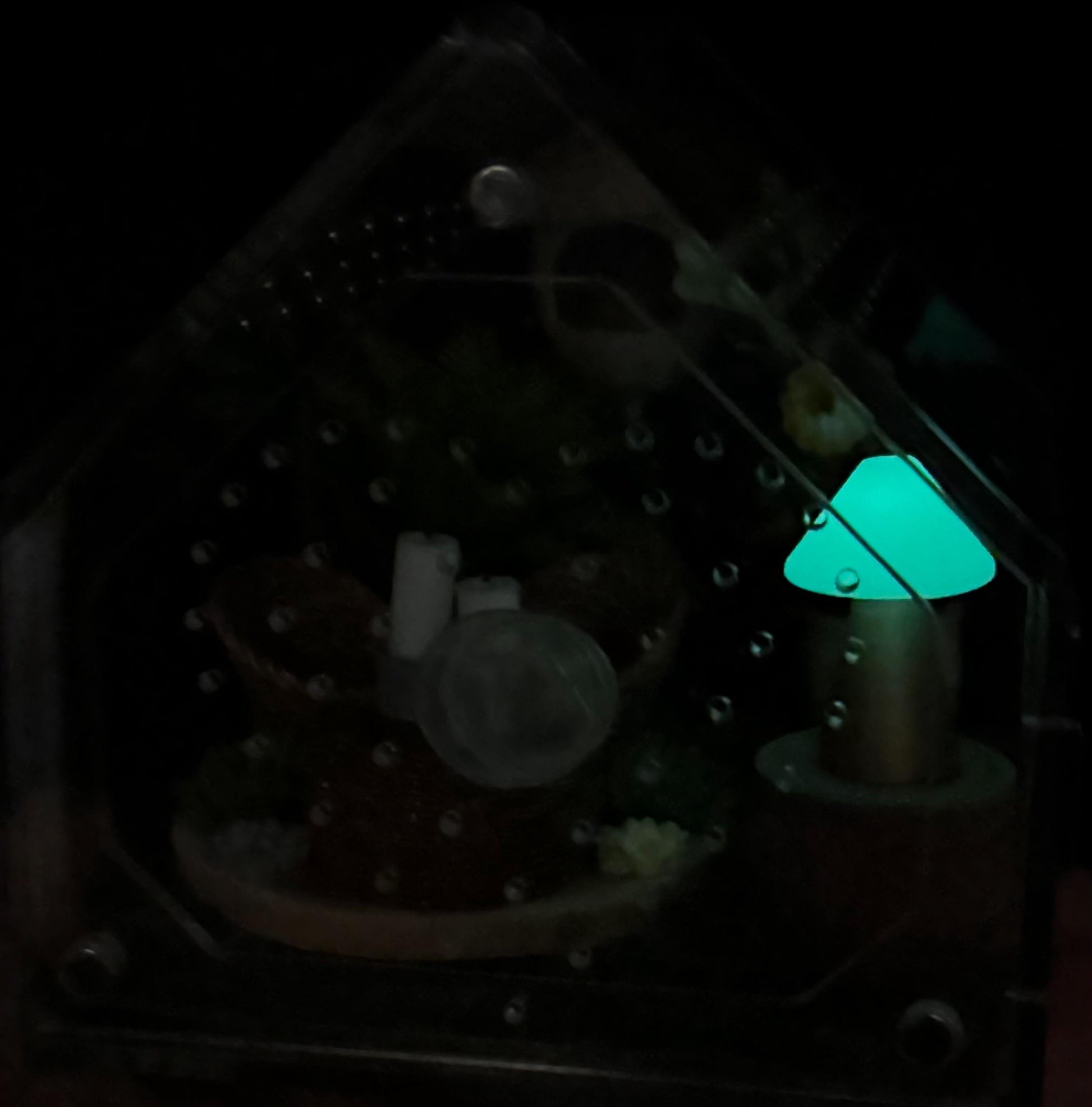Decorated Acrylic Jumping Spider Enclosure, Front Opening Habitat 3.75x3.75x3.75