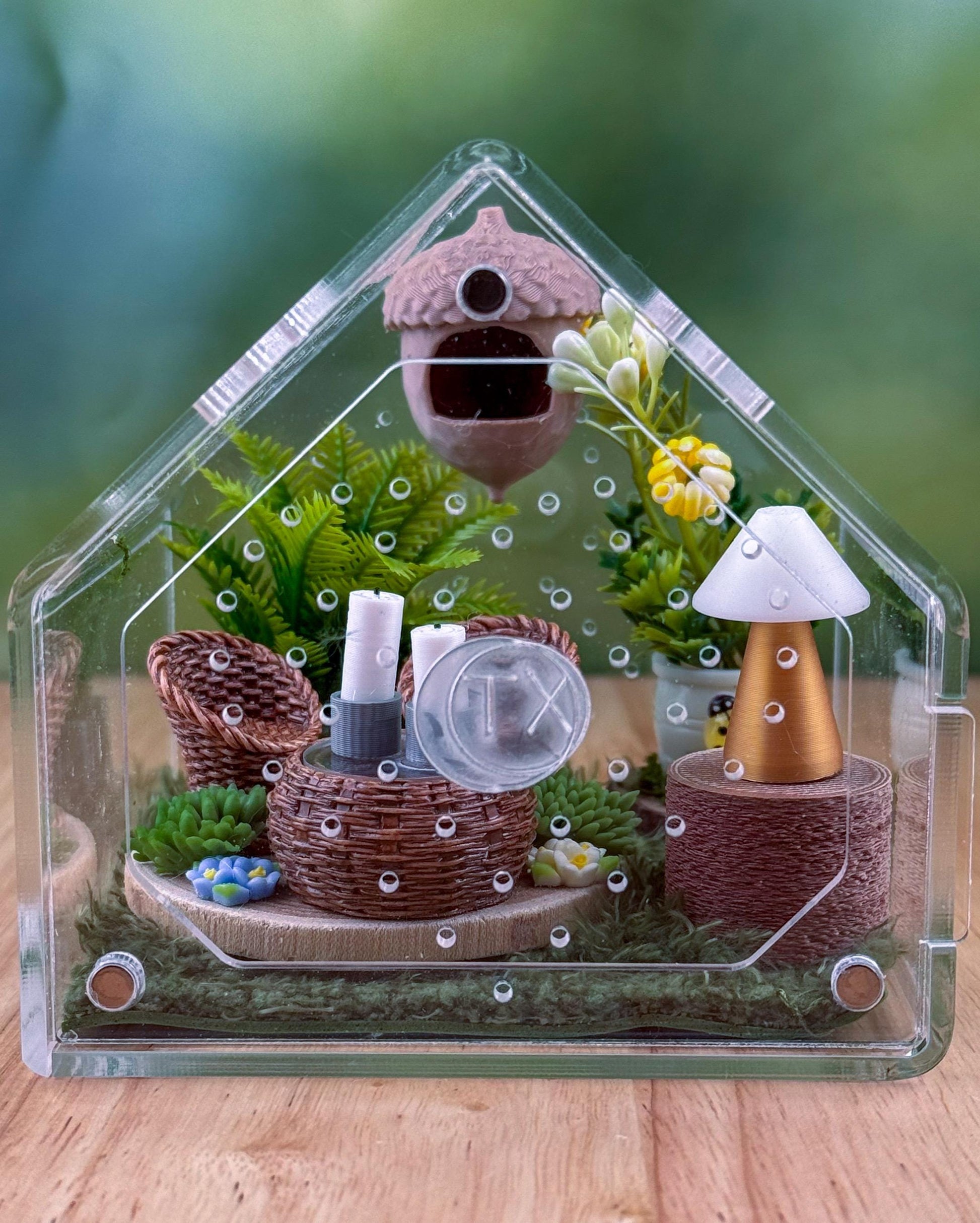 Decorated Acrylic Jumping Spider Enclosure, Front Opening Habitat 3.75x3.75x3.75