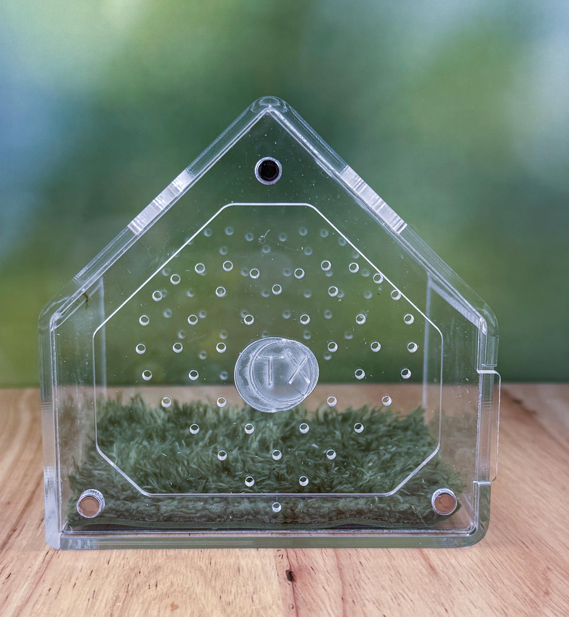 Decorated Acrylic Jumping Spider Enclosure, Front Opening Habitat 3.75x3.75x3.75
