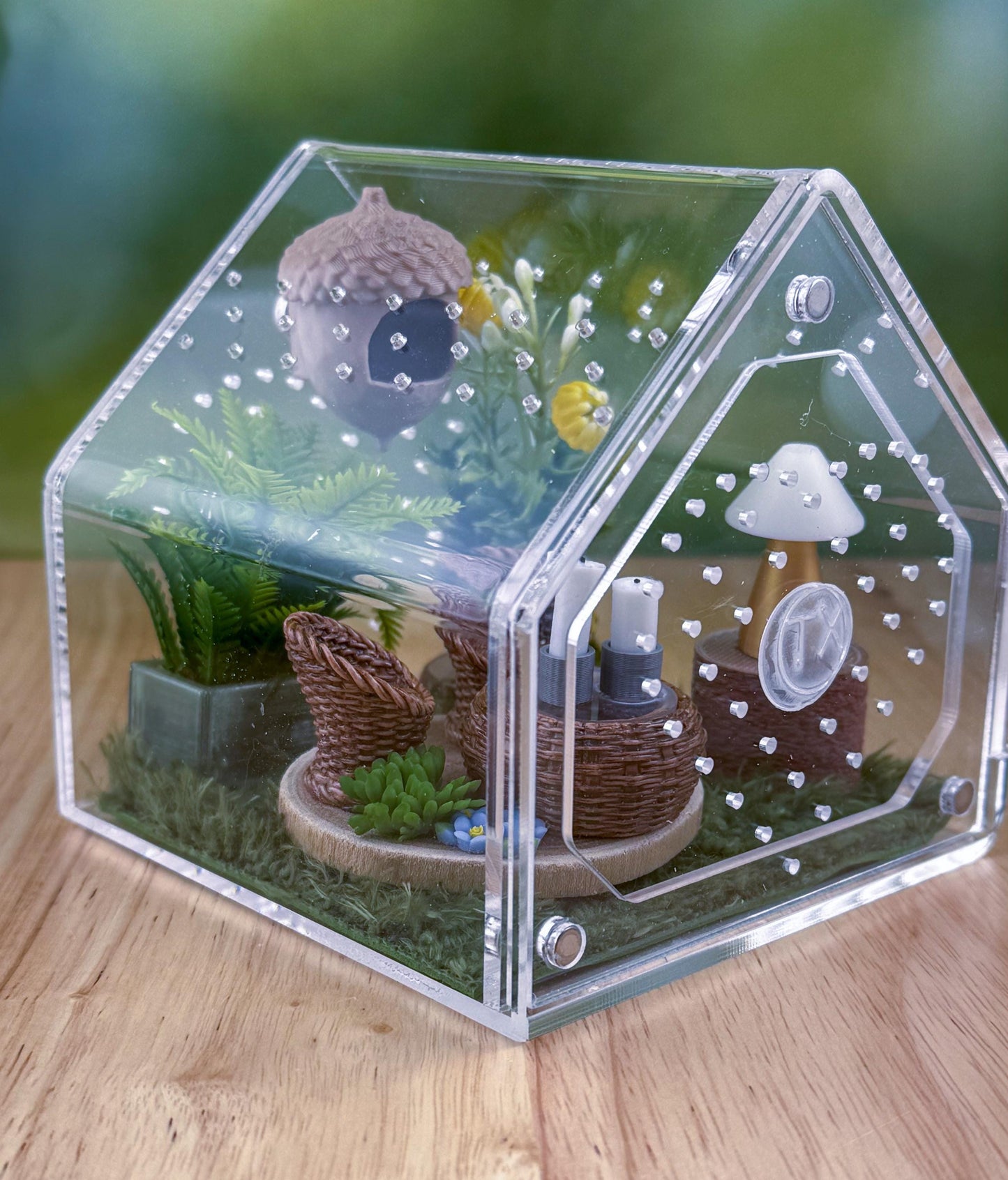 Decorated Acrylic Jumping Spider Enclosure, Front Opening Habitat 3.75x3.75x3.75