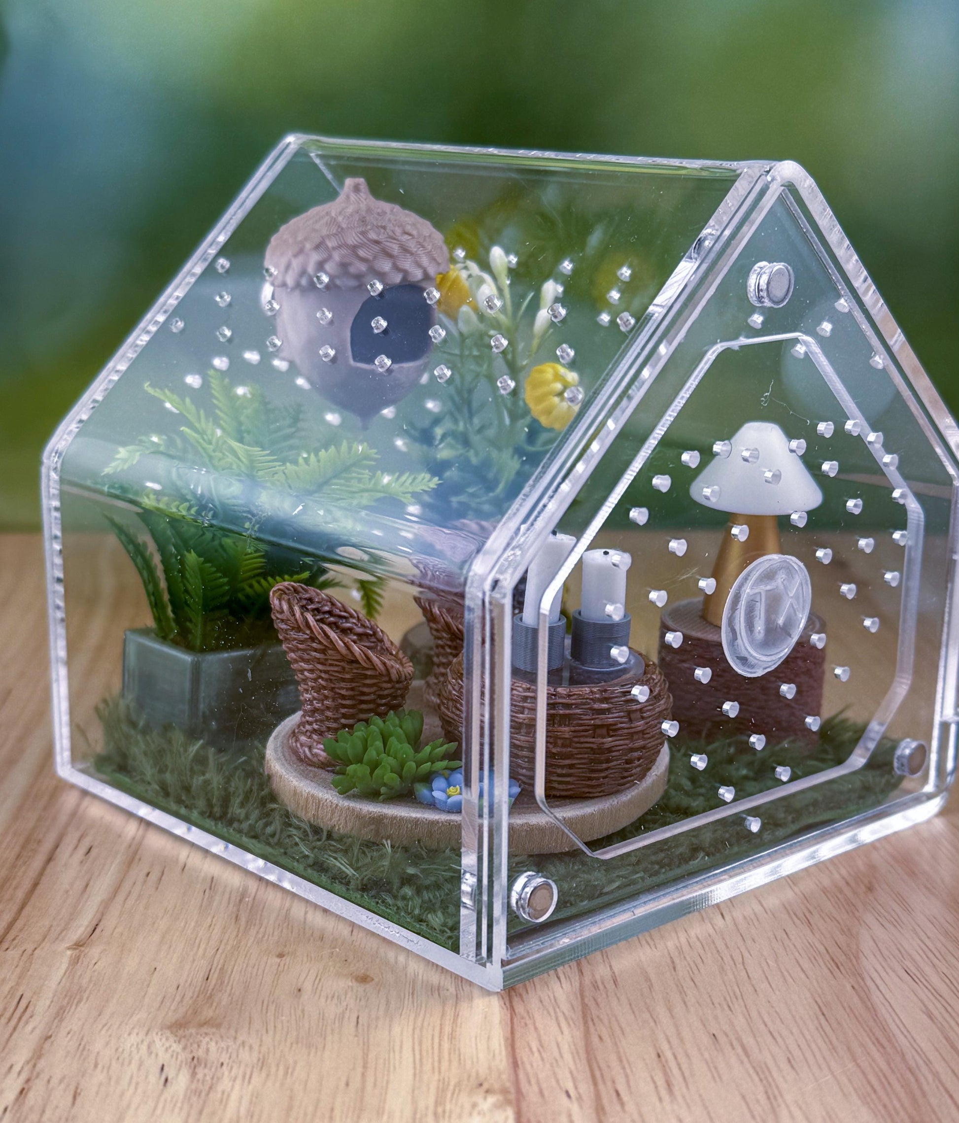 Decorated Acrylic Jumping Spider Enclosure, Front Opening Habitat 3.75x3.75x3.75