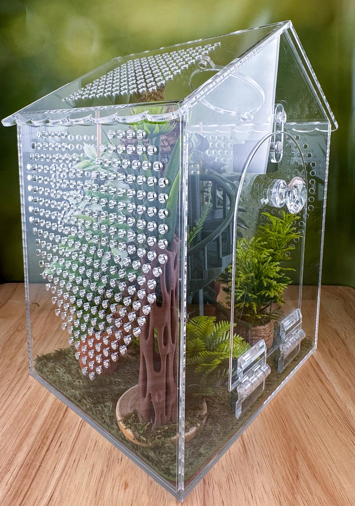 Decorated Acrylic Jumping Spider Enclosure, Front Opening Habitat (6.2x6x5)