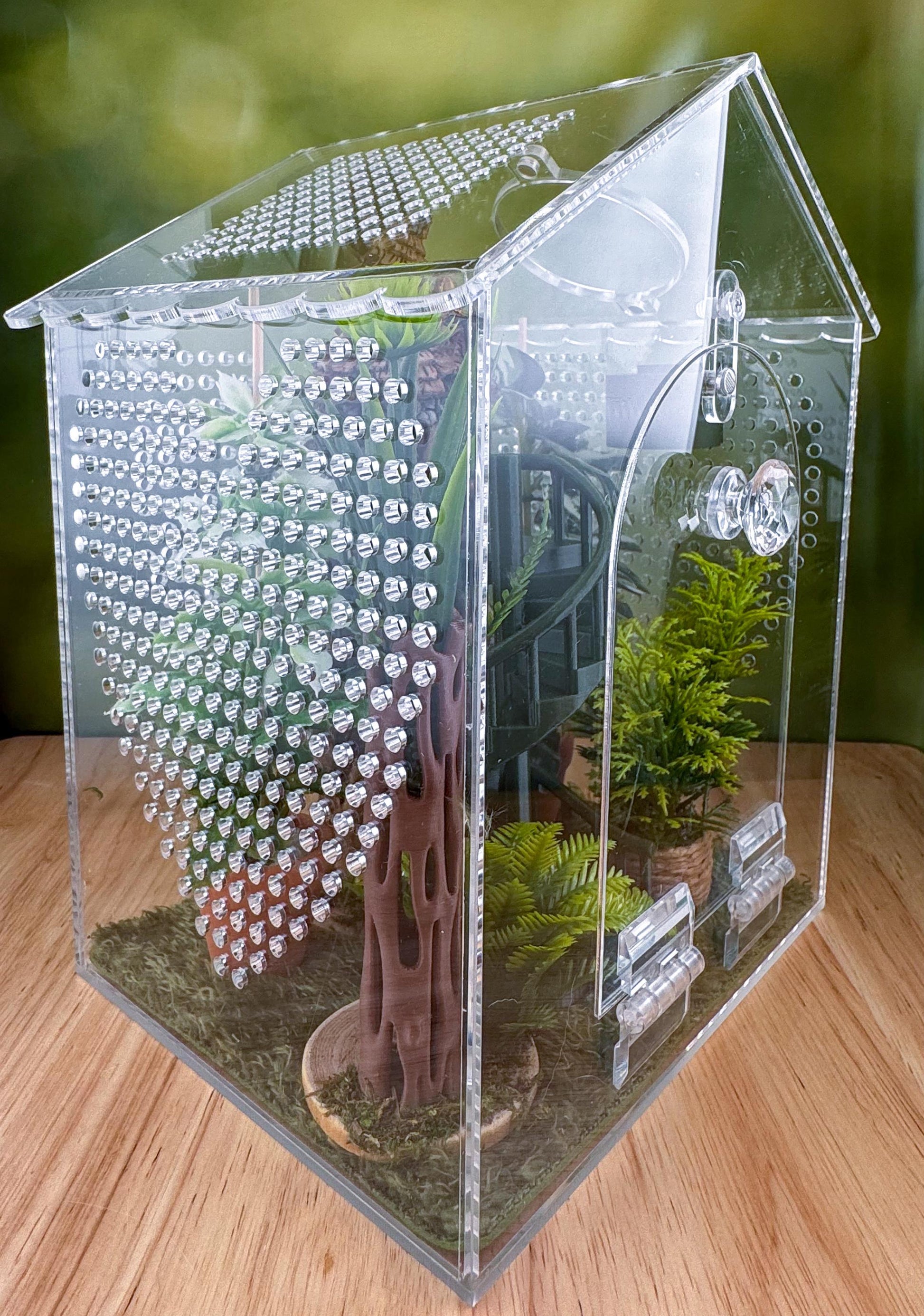 Decorated Acrylic Jumping Spider Enclosure, Front Opening Habitat (6.2x6x5)