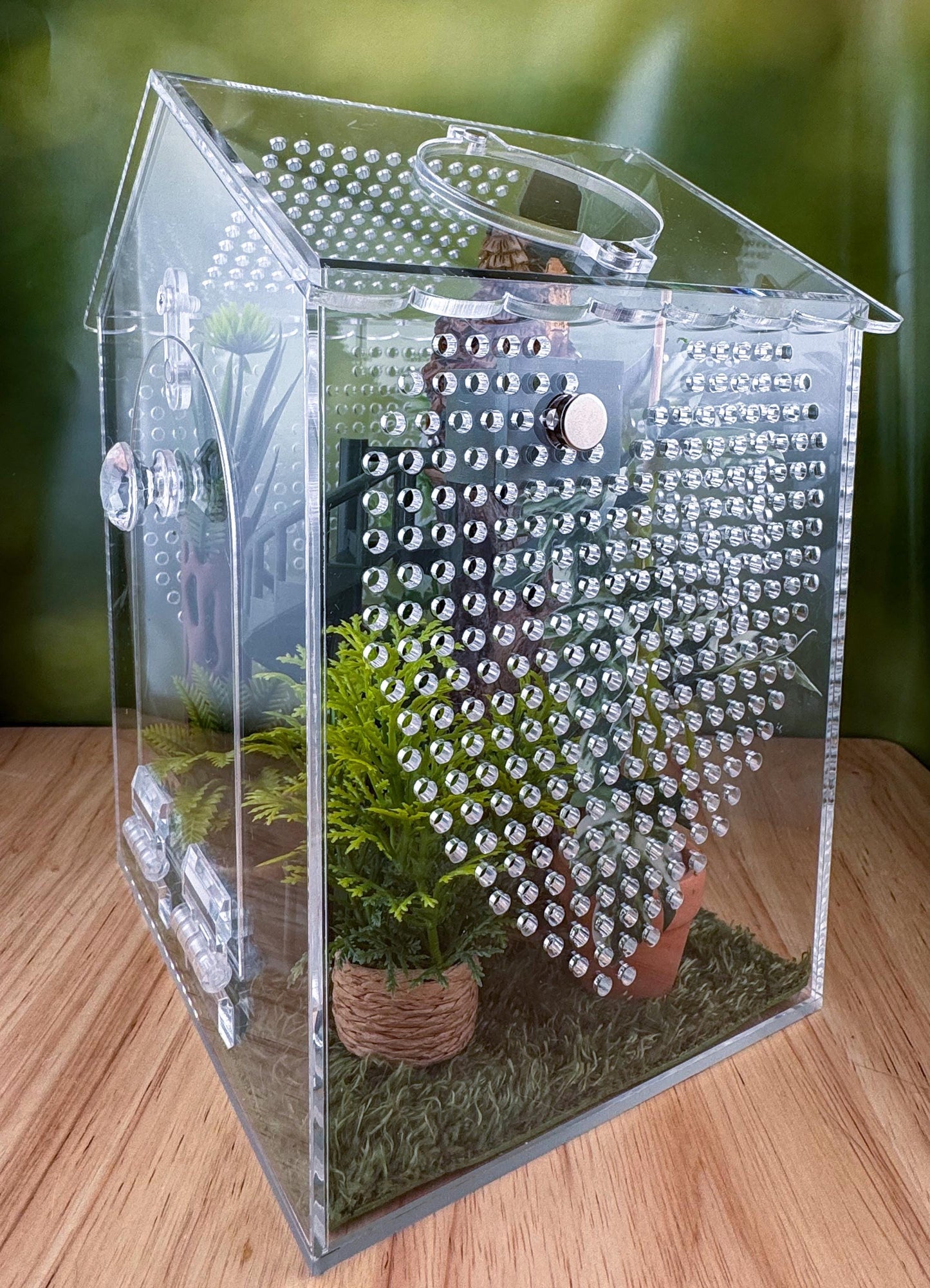Decorated Acrylic Jumping Spider Enclosure, Front Opening Habitat (6.2x6x5)