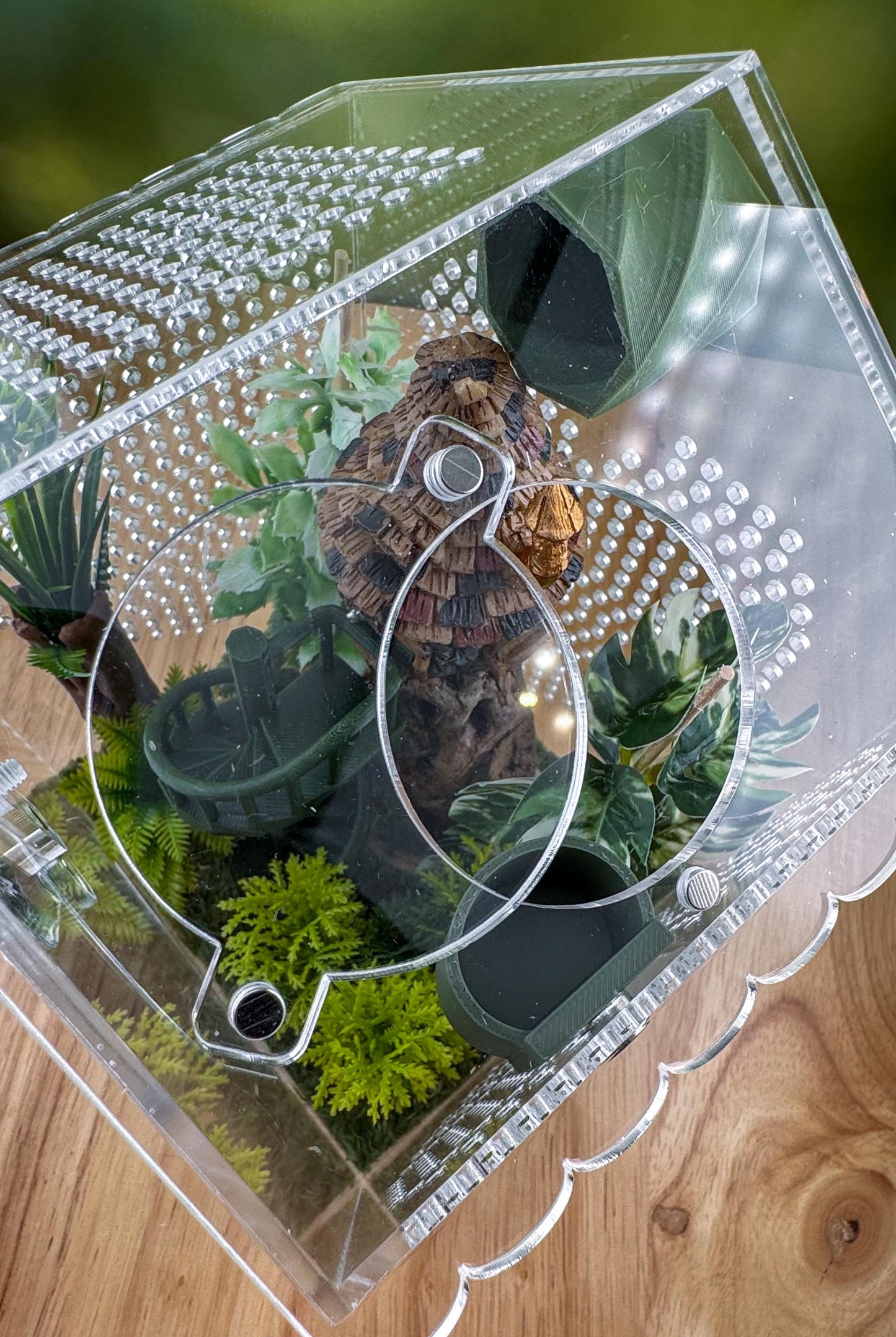 Decorated Acrylic Jumping Spider Enclosure, Front Opening Habitat (6.2x6x5)