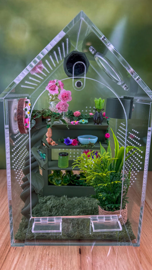 Decorated Acrylic Jumping Spider Enclosure, Front Opening Habitat (8x5x5)