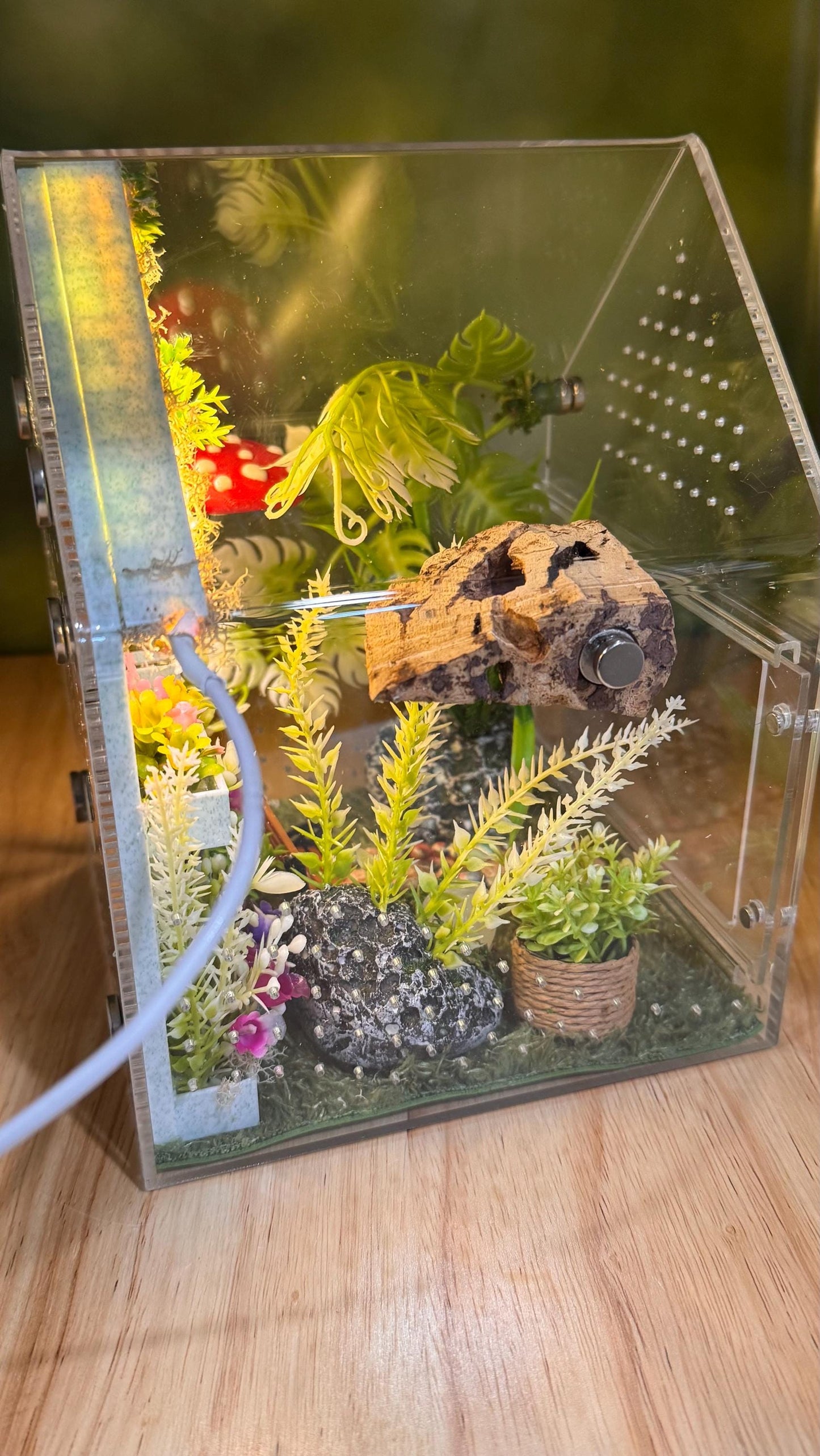 Decorated Acrylic Jumping Spider Enclosure, Front Opening Habitat (8x5x5)