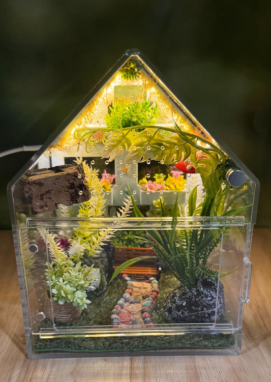 Decorated Acrylic Jumping Spider Enclosure, Front Opening Habitat (8x5x5)