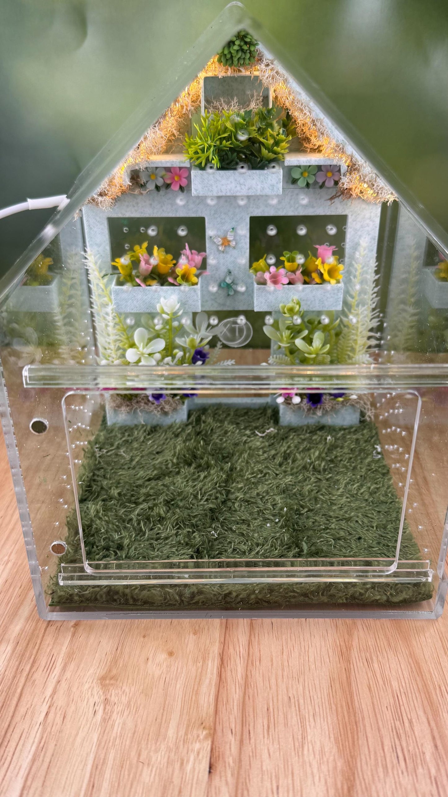 Decorated Acrylic Jumping Spider Enclosure, Front Opening Habitat (8x5x5)
