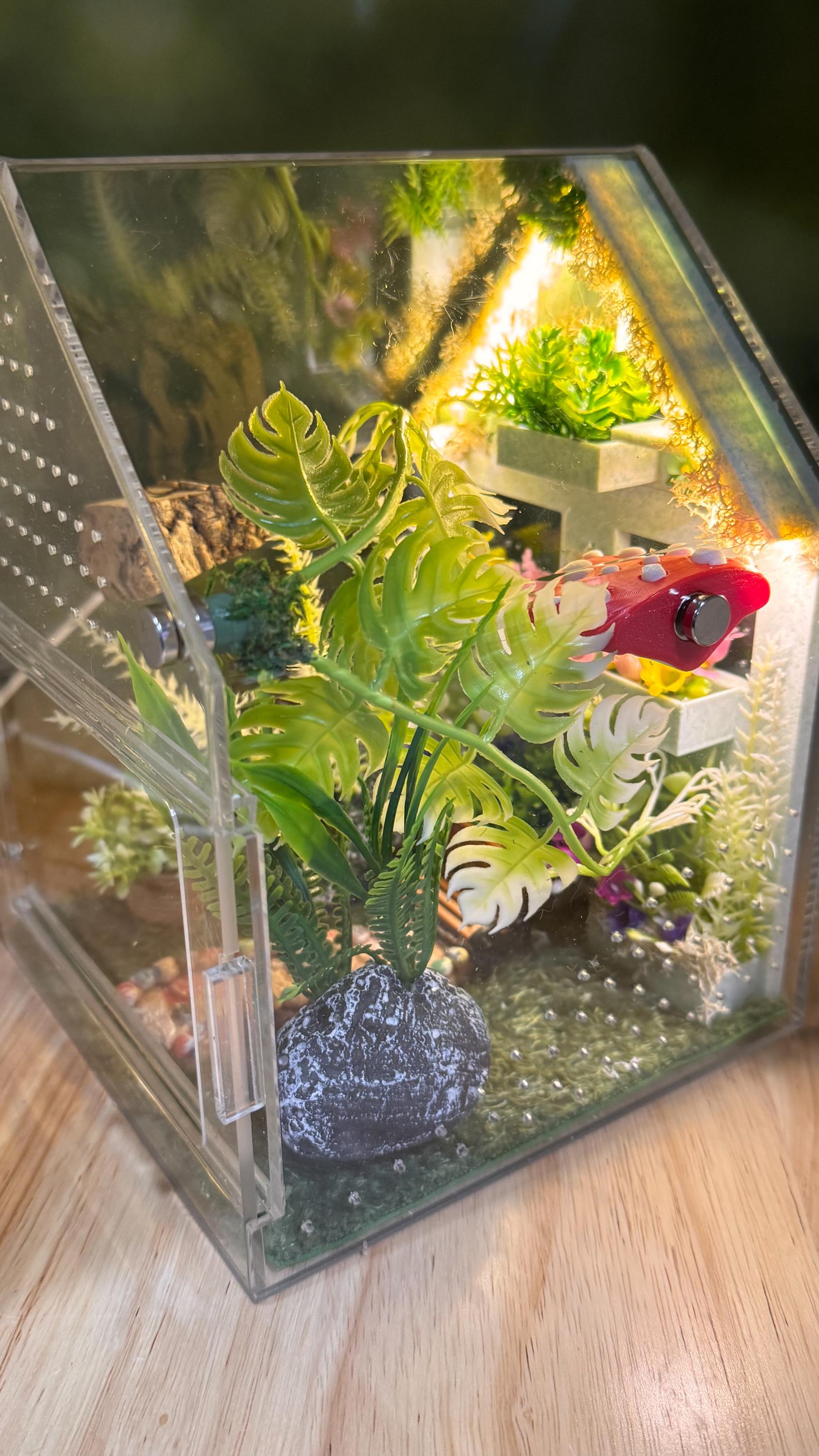 Decorated Acrylic Jumping Spider Enclosure, Front Opening Habitat (8x5x5)