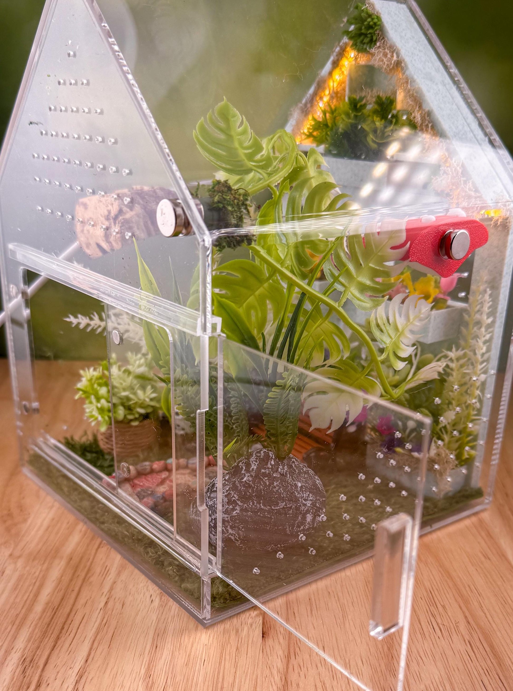 Decorated Acrylic Jumping Spider Enclosure, Front Opening Habitat (8x5x5)