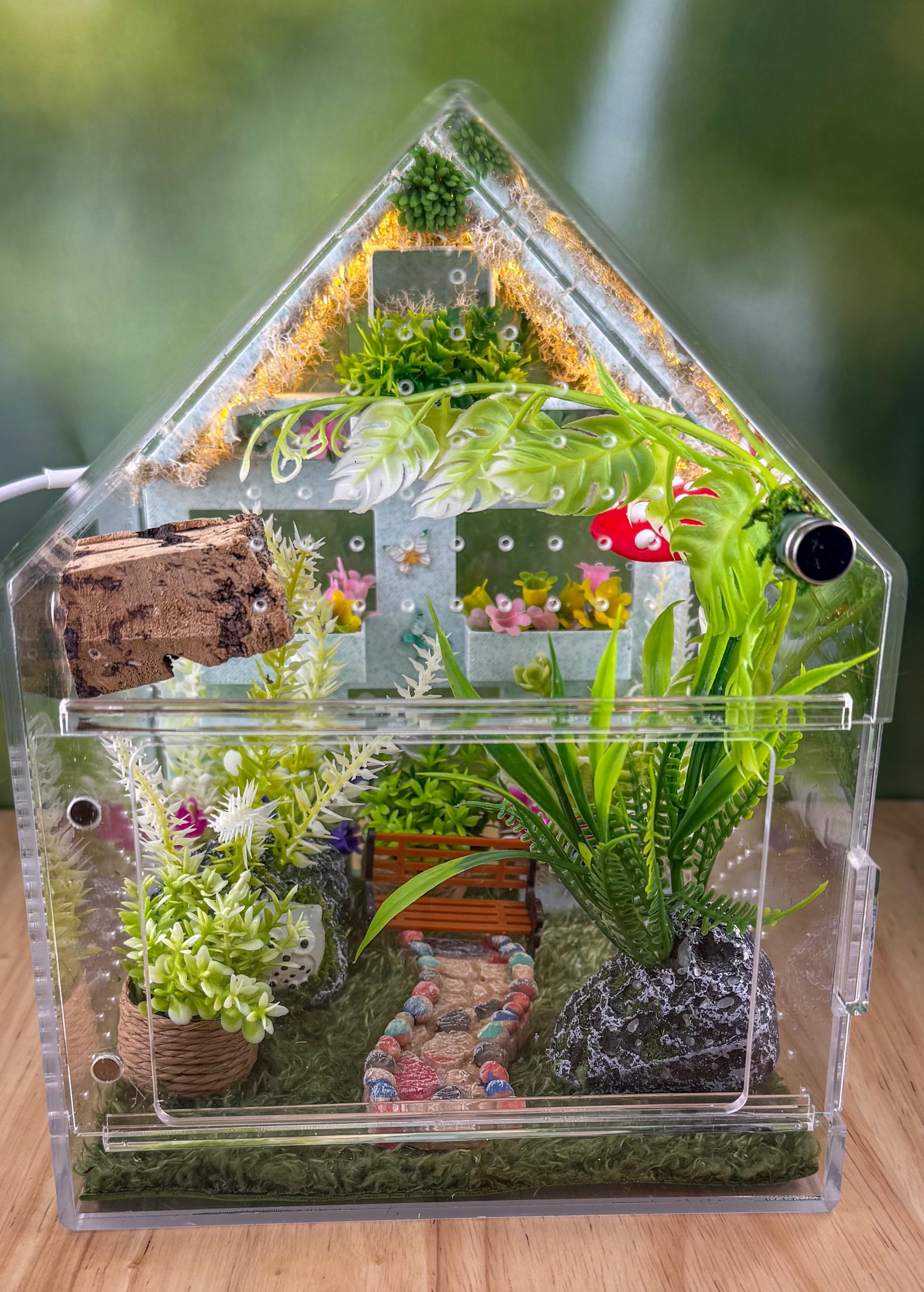 Decorated Acrylic Jumping Spider Enclosure, Front Opening Habitat (8x5x5)