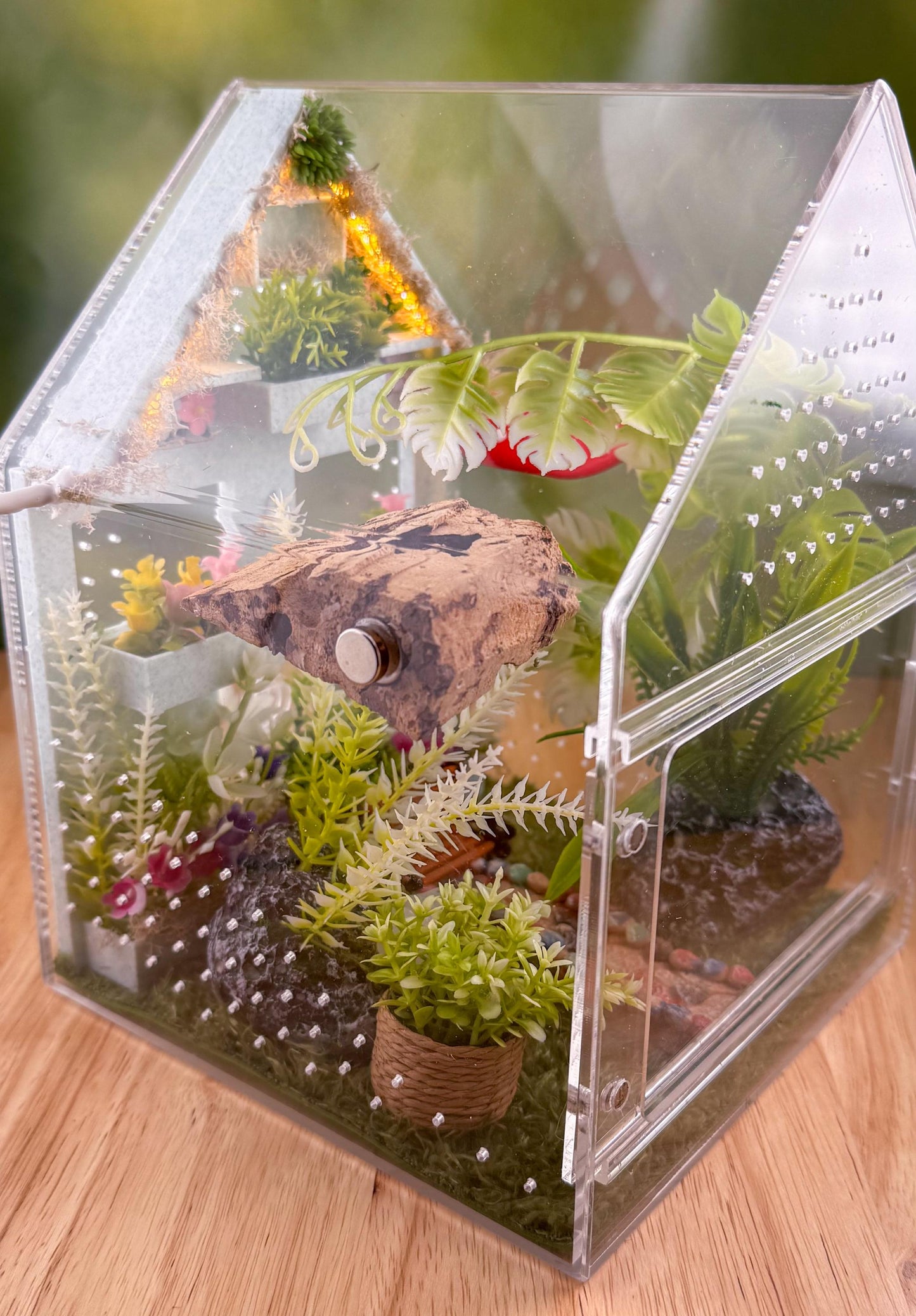 Decorated Acrylic Jumping Spider Enclosure, Front Opening Habitat (8x5x5)