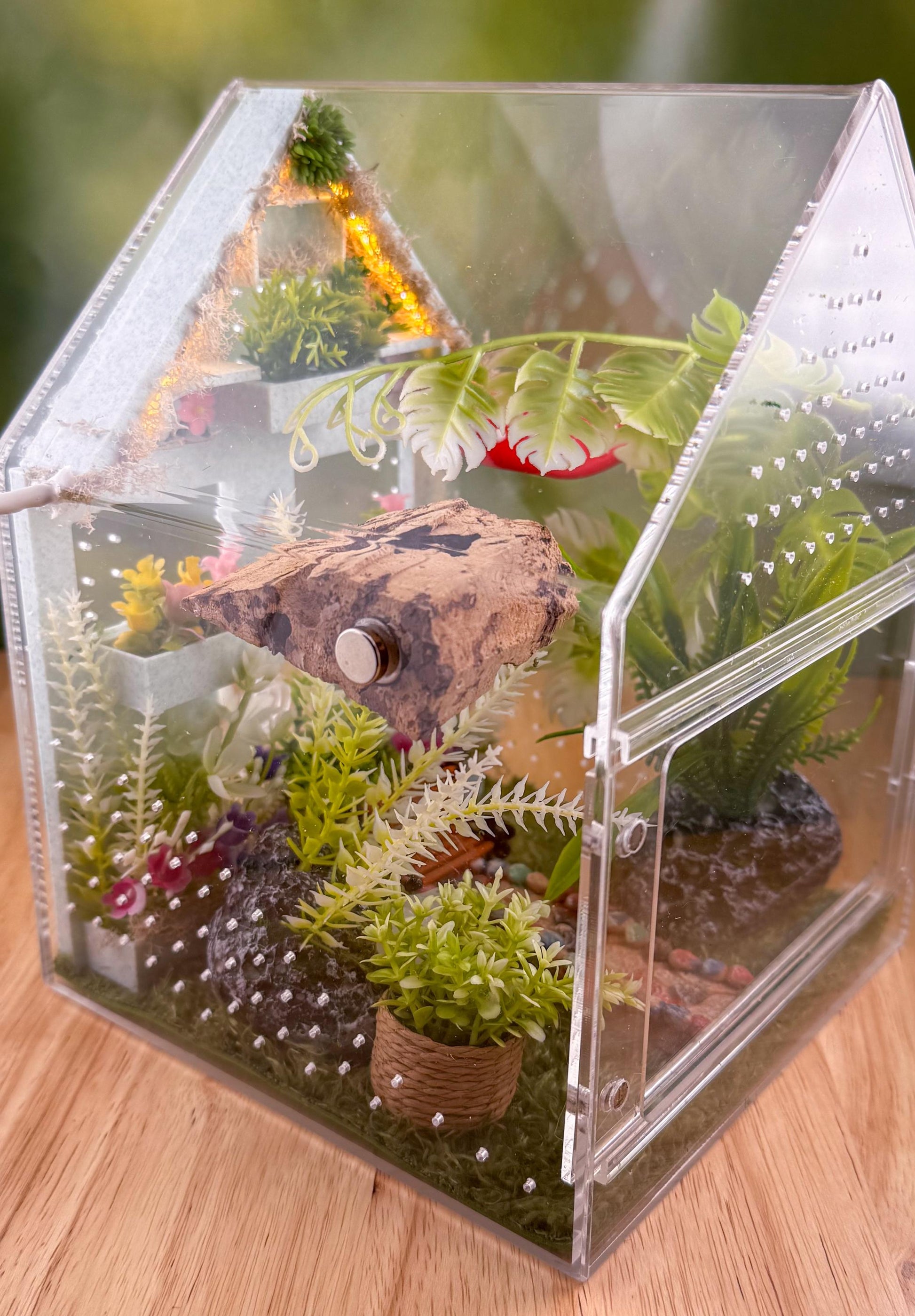 Decorated Acrylic Jumping Spider Enclosure, Front Opening Habitat (8x5x5)