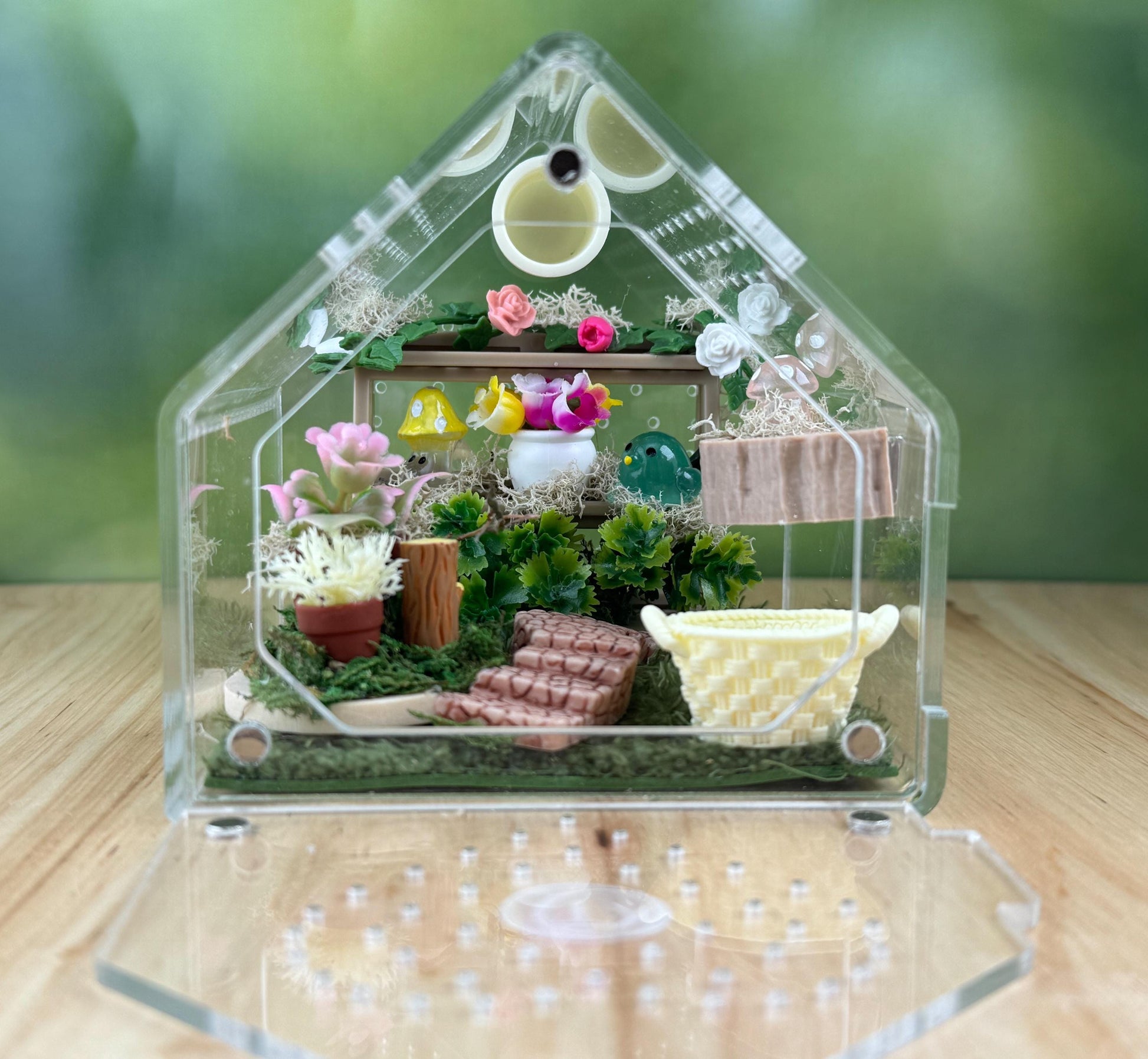 Decorated Acrylic Jumping Spider Enclosure, Front Opening Habitat 3.75x3.75x3.75