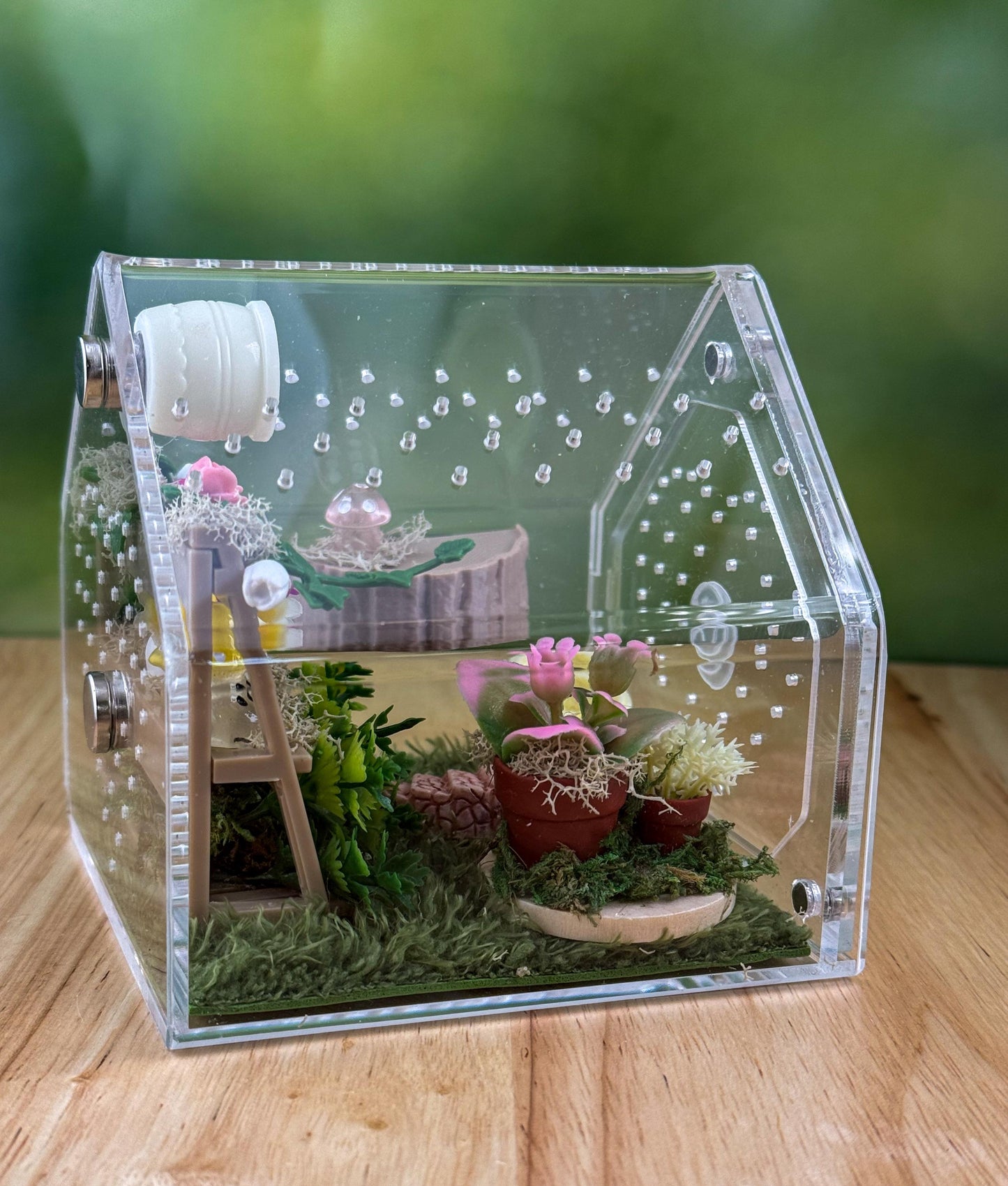 Decorated Acrylic Jumping Spider Enclosure, Front Opening Habitat 3.75x3.75x3.75